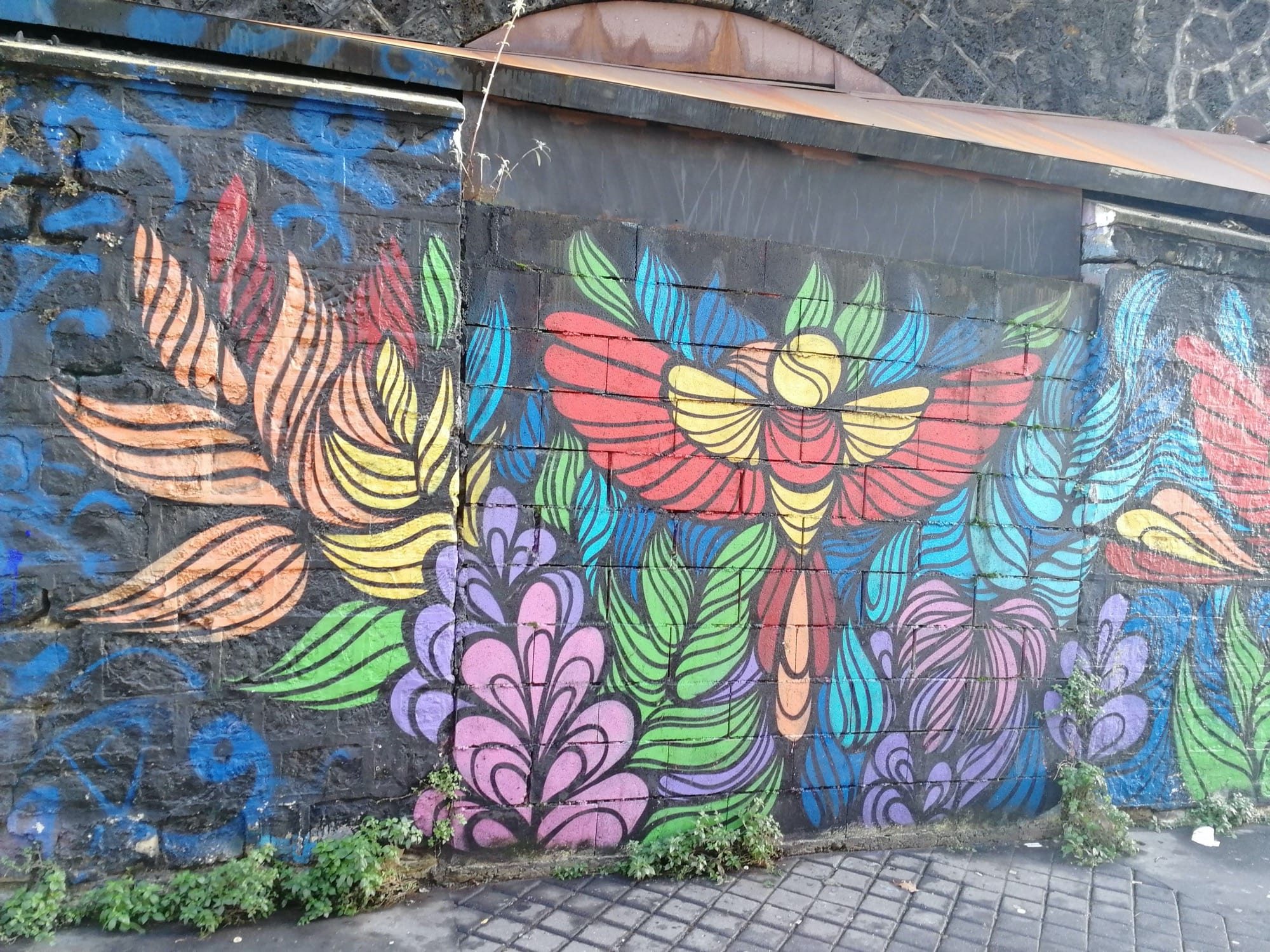 Oiseau tropical aux fleurs exotiques — Street art à Paris