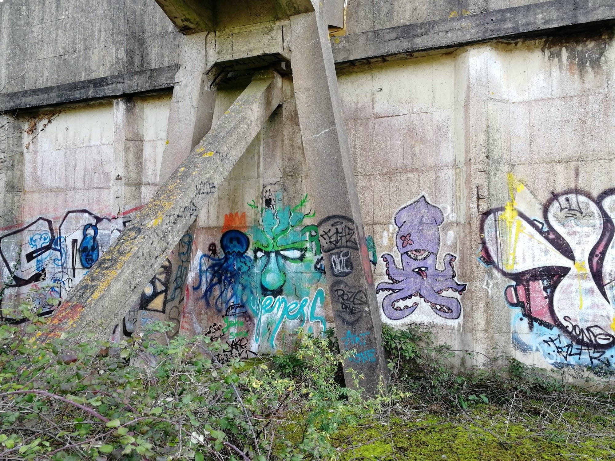 Purple Octopus and Green Creature — Street art in Trignac