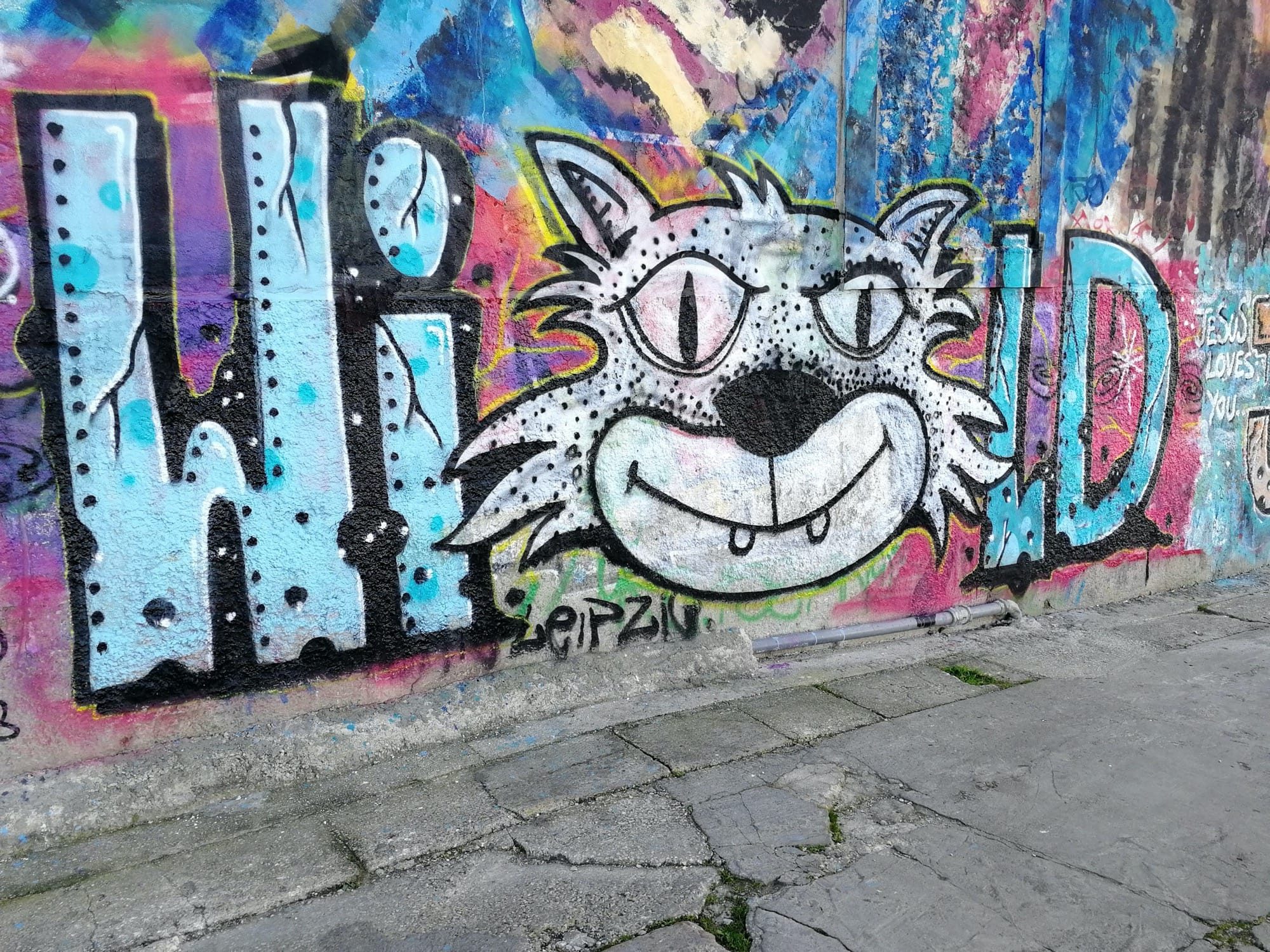 Wild - Cat Integrated in Lettering — Street art in Lisboa