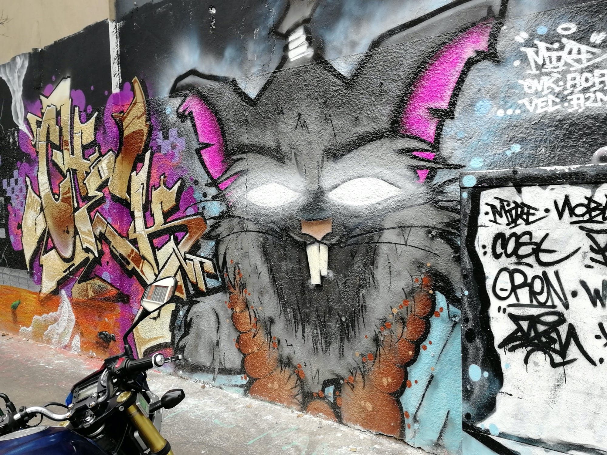 Cat with Pink Ears — Street art in Paris