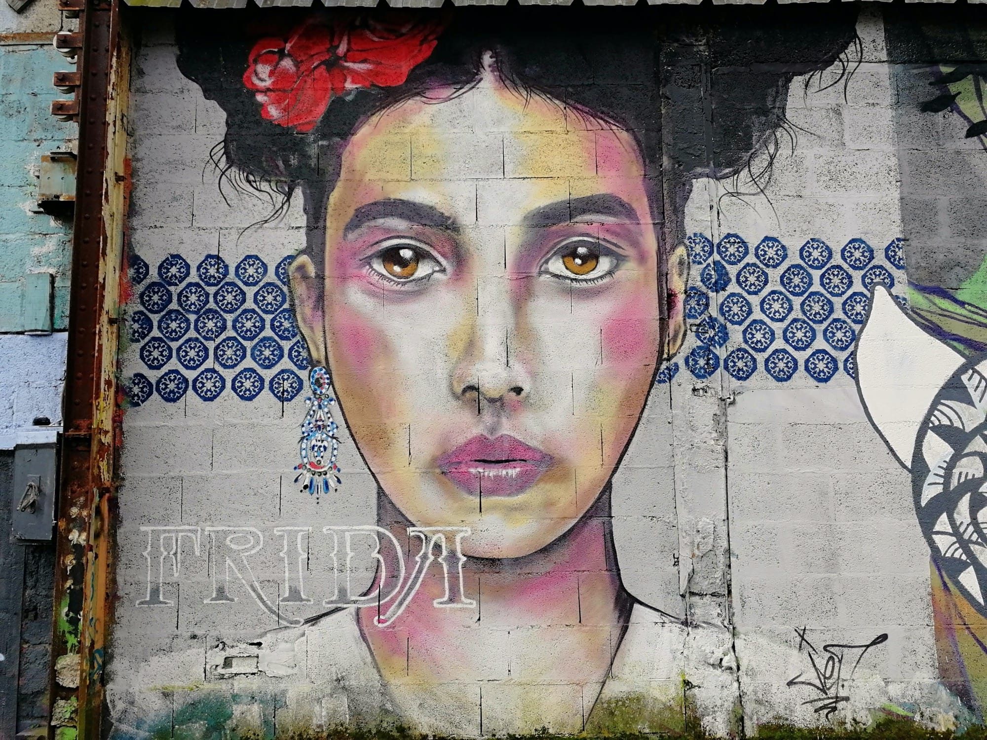 Frida Kahlo by Jef — Street art by Jef in Redon
