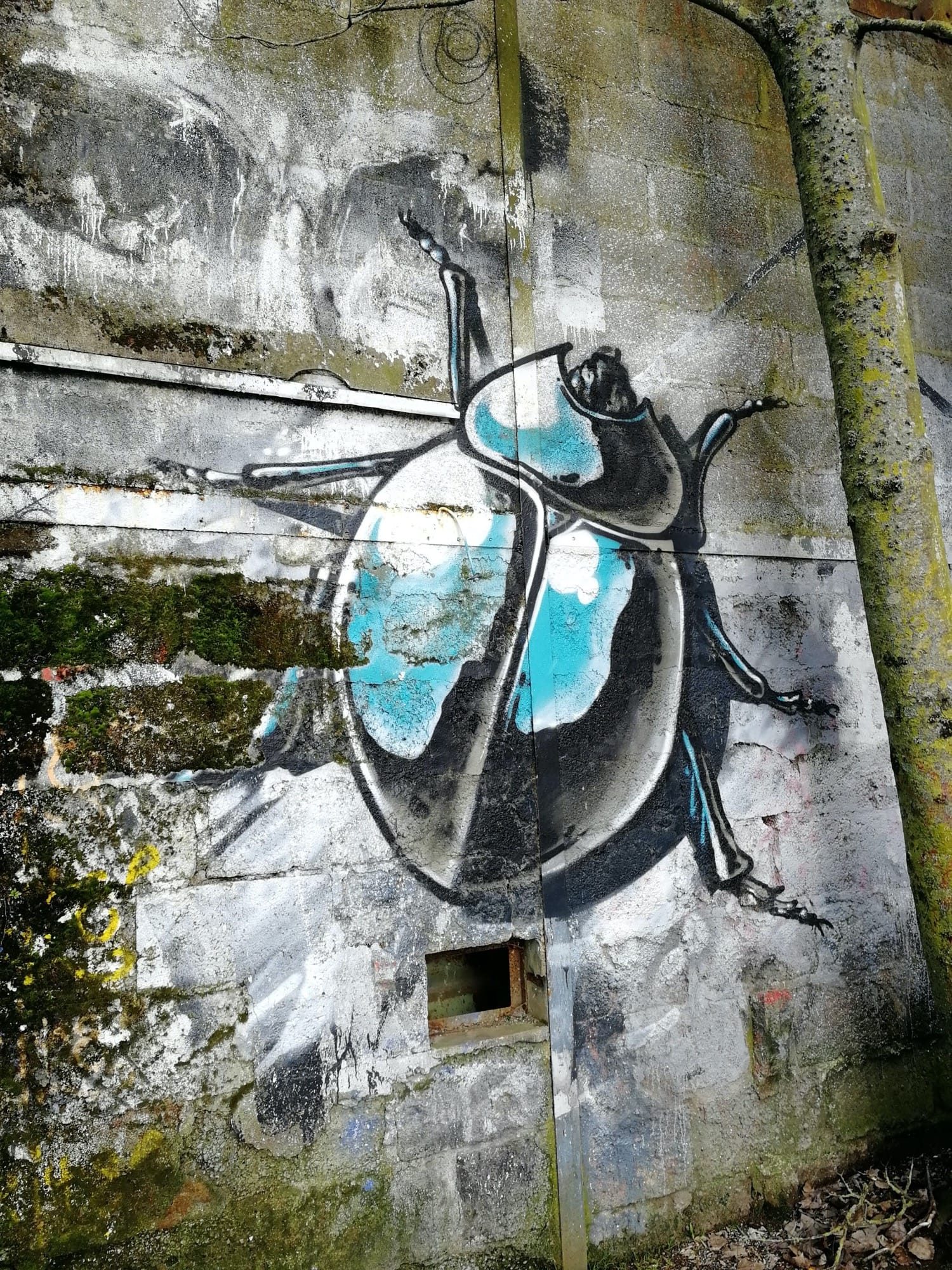 Blue Beetle on Stone Wall — Street art in Redon
