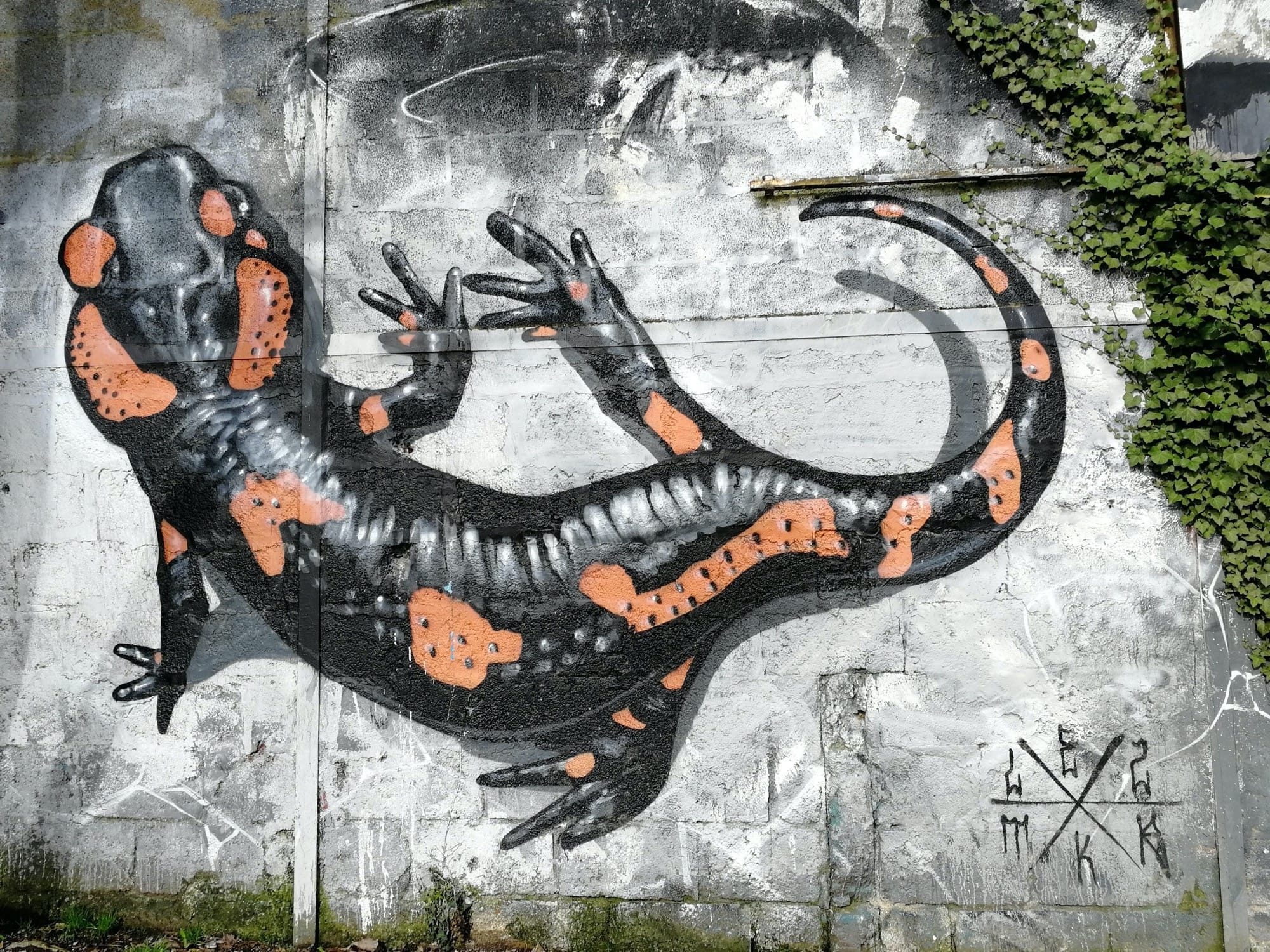 Salamandre tachetée Redon — Street art à Redon