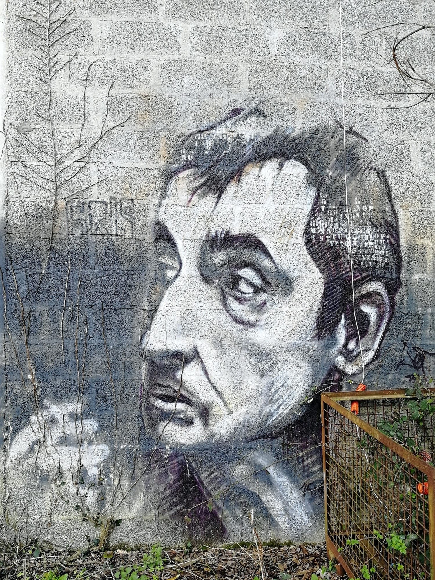 Portrait de profil par Jef — Street art de Jef à Saint-Nicolas-de-Redon