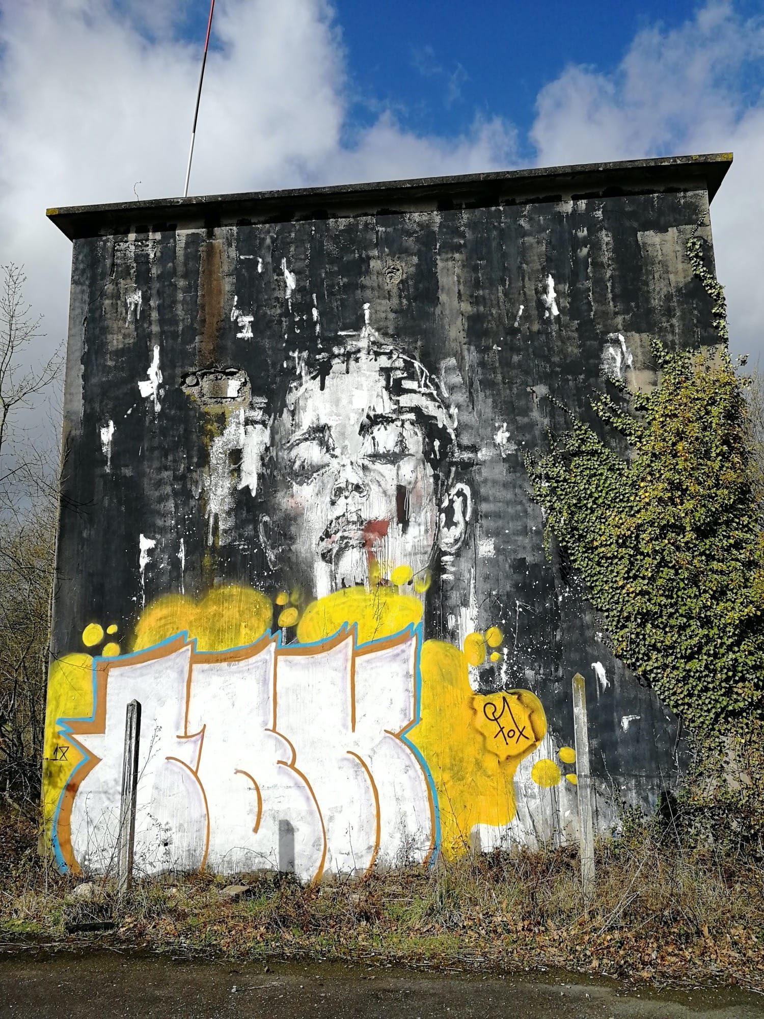 Portrait monumental et tag wildstyle — Street art à Saint-Nicolas-de-Redon