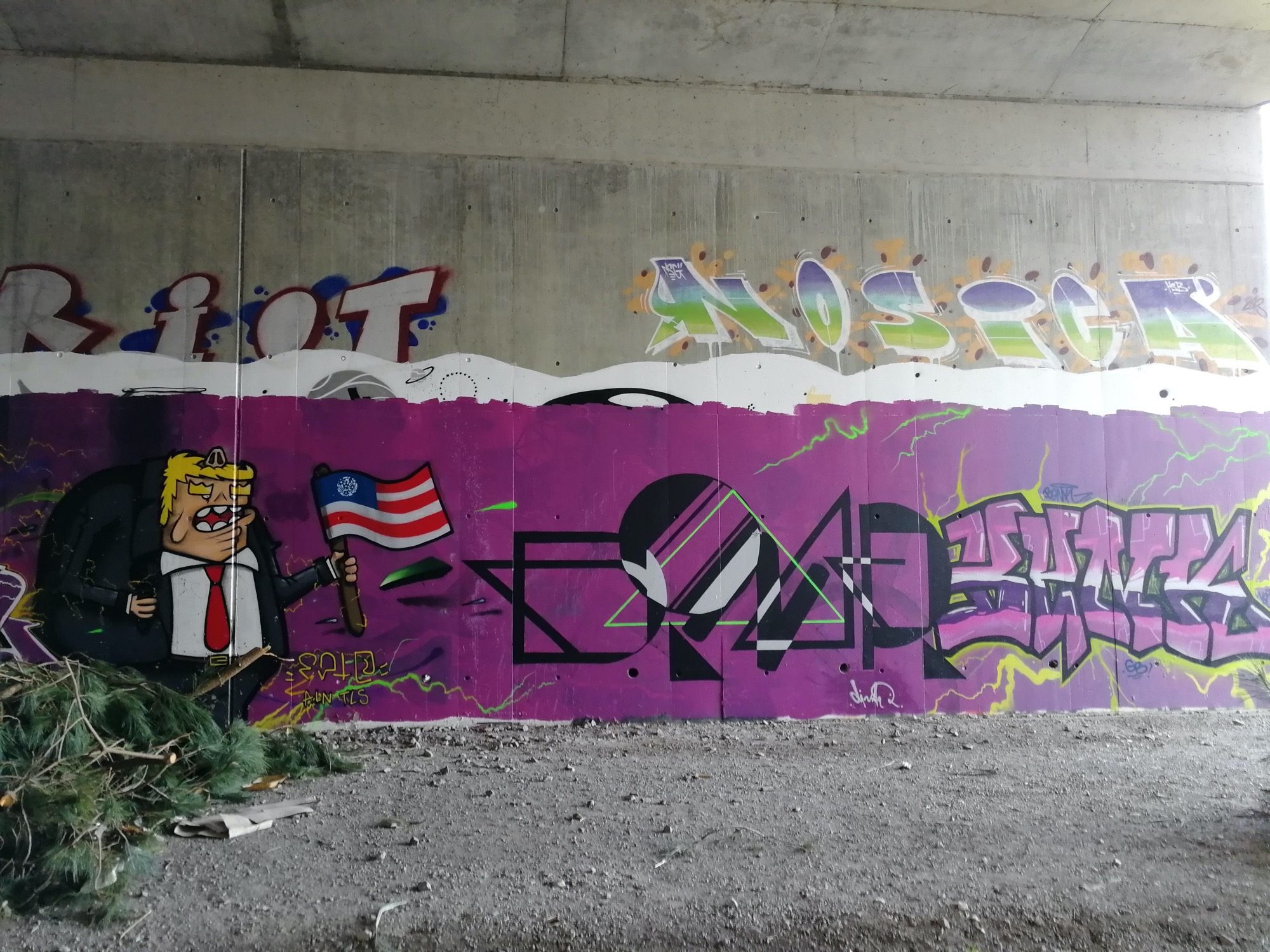 Trump USA - Caricature Politique — Street art à Angers