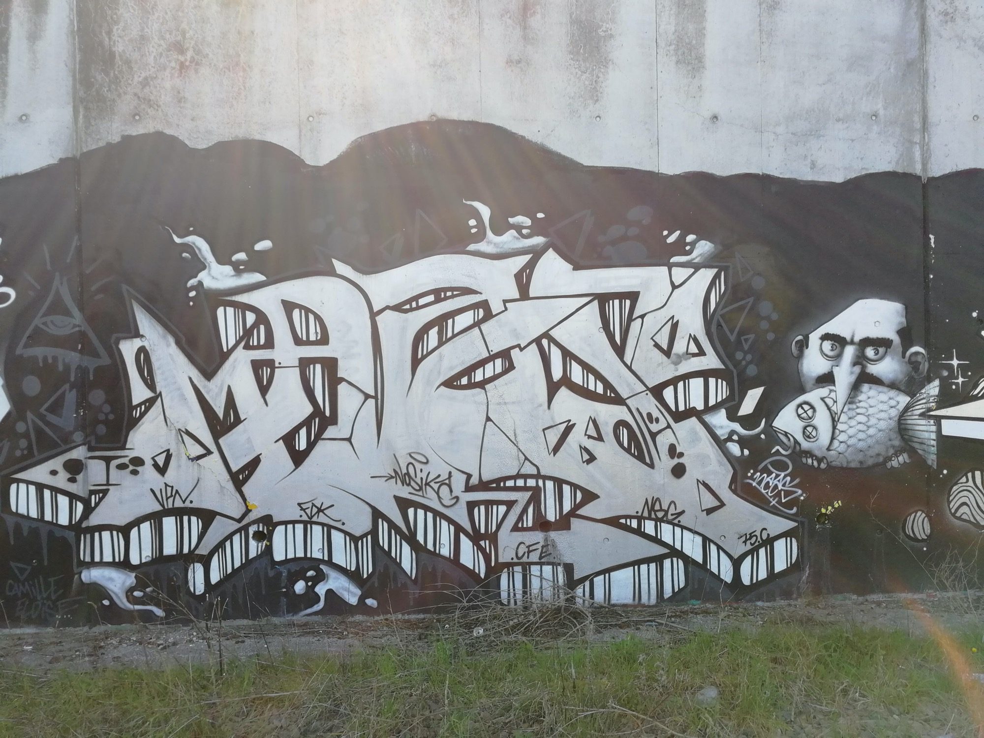 White Wildstyle and Bearded Portrait — Street art in Angers