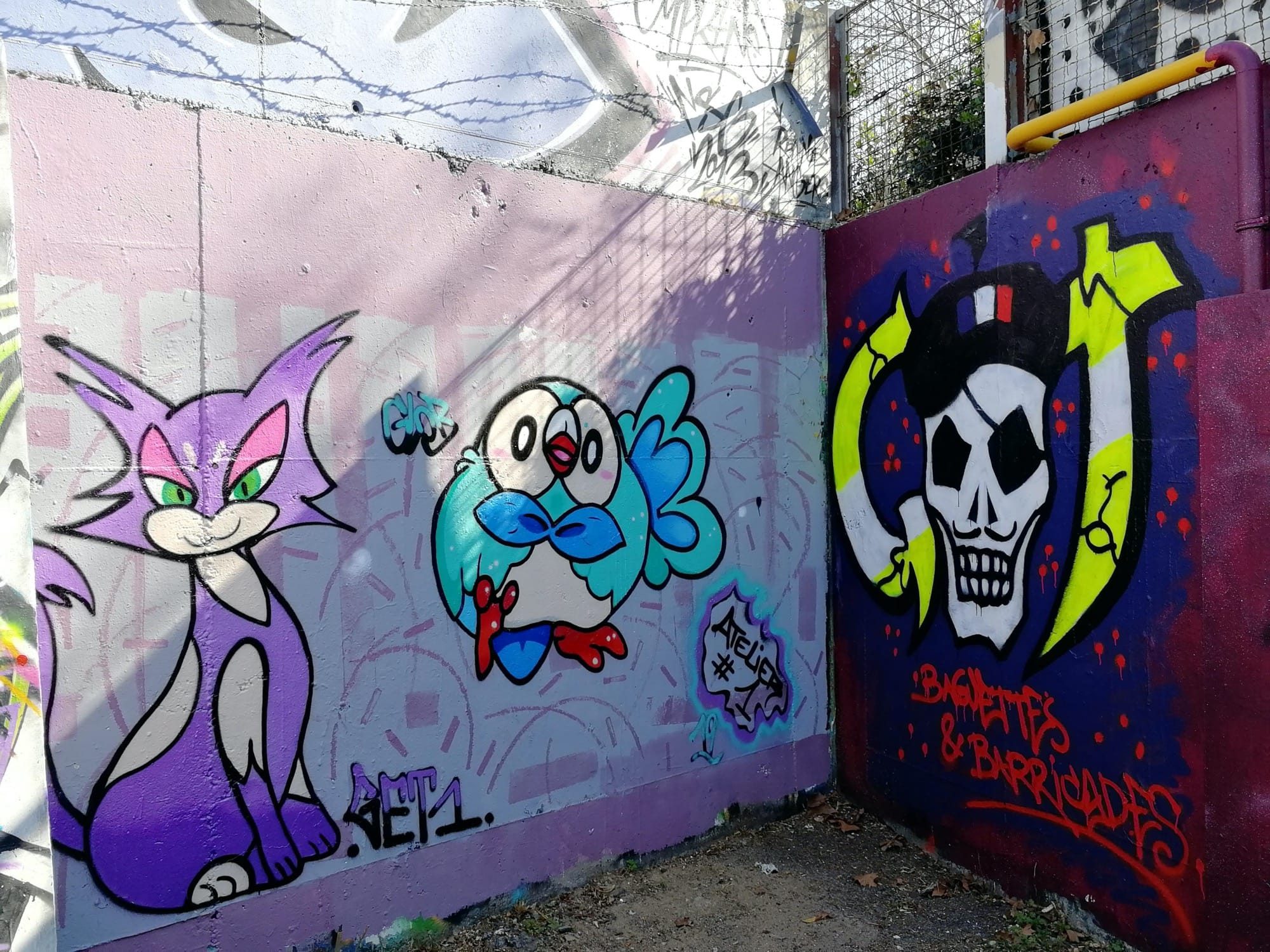 Cat, Bird and Tricolor Skull — Street art in Angers