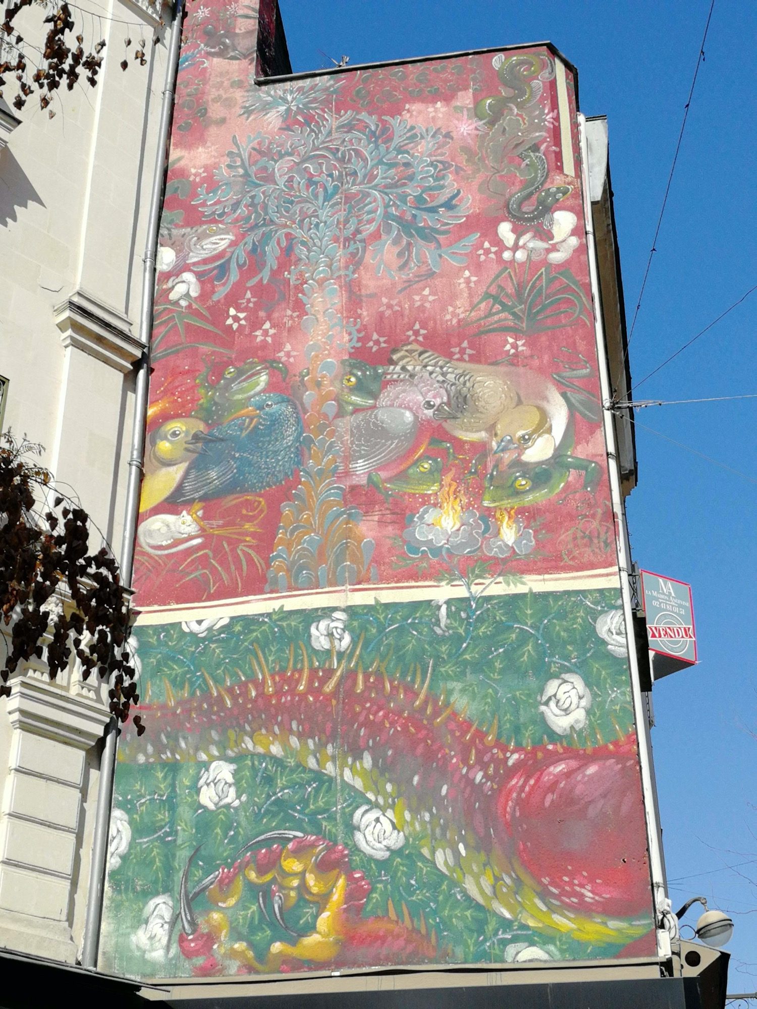 Grande fresque florale et oiseaux — Street art à Angers