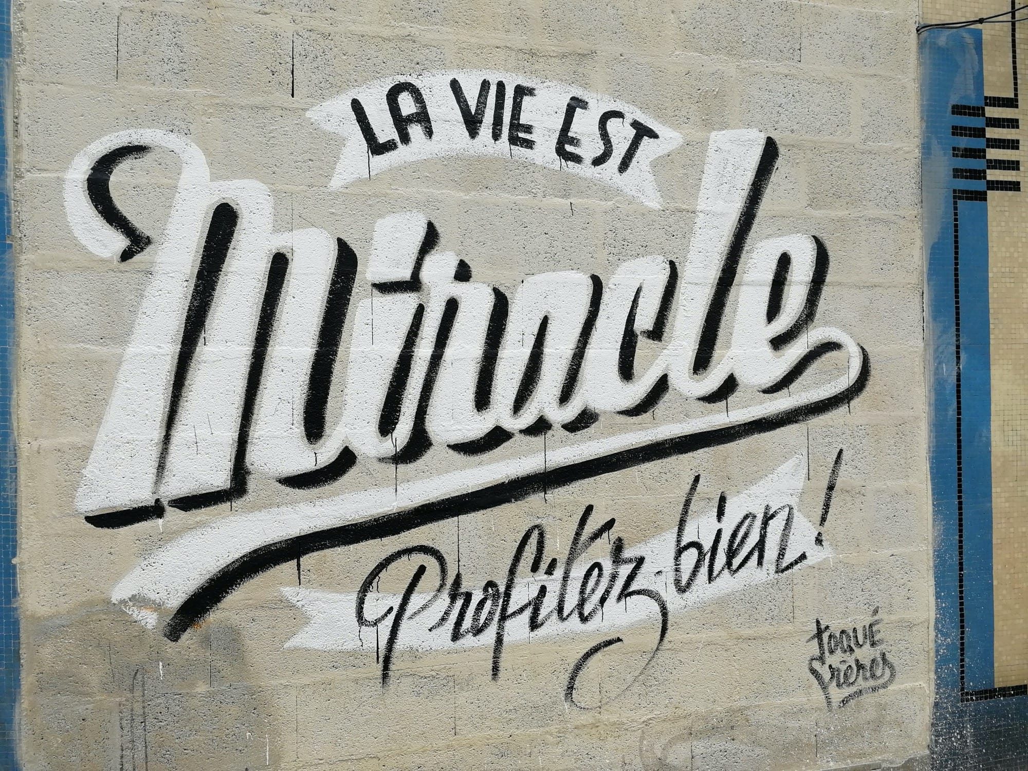 La vie est miracle, profitez bien ! — Street art de Toqué frères à Nantes