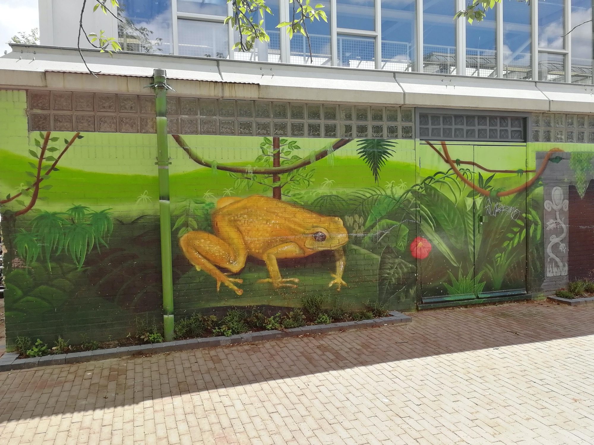 Golden Frog in the Jungle — Street art in Amsterdam