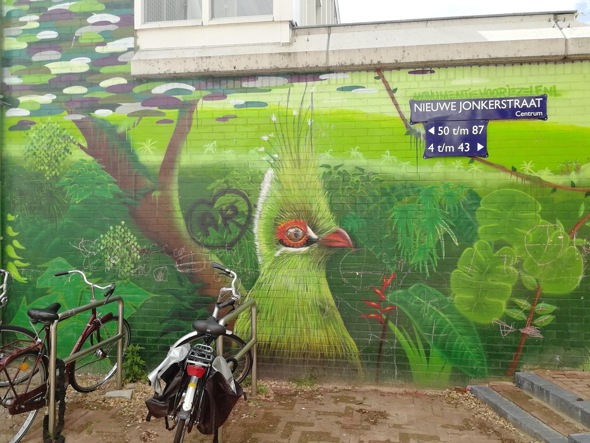 Le grand oiseau vert de la Jonkerstraat — Street art à Amsterdam
