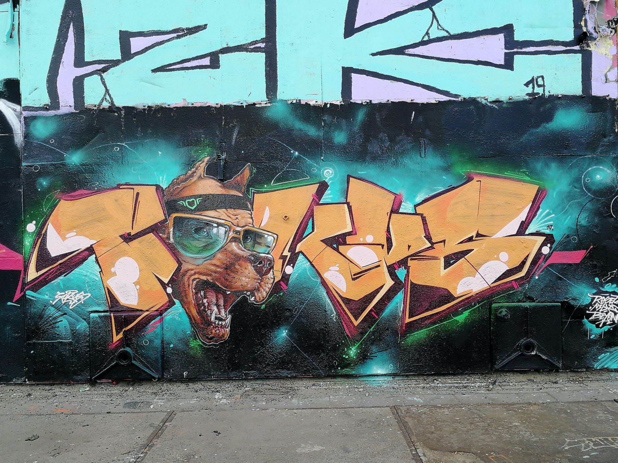 Chien à lunettes dans le wildstyle — Street art à Amsterdam