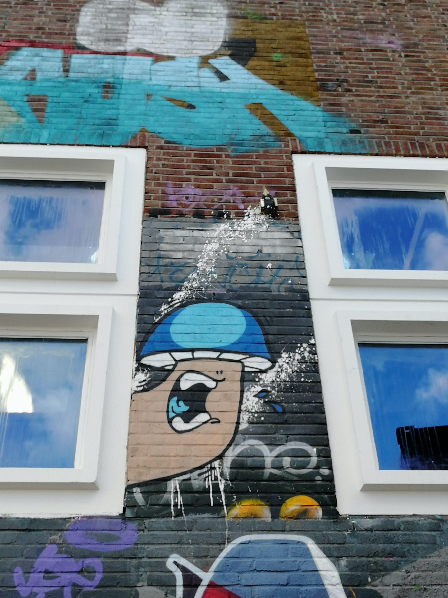 Angry Graffiti Toad — Street art in Amsterdam