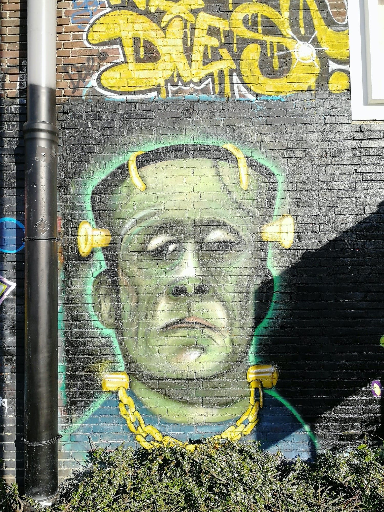 Frankenstein Portrait — Street art in Amsterdam