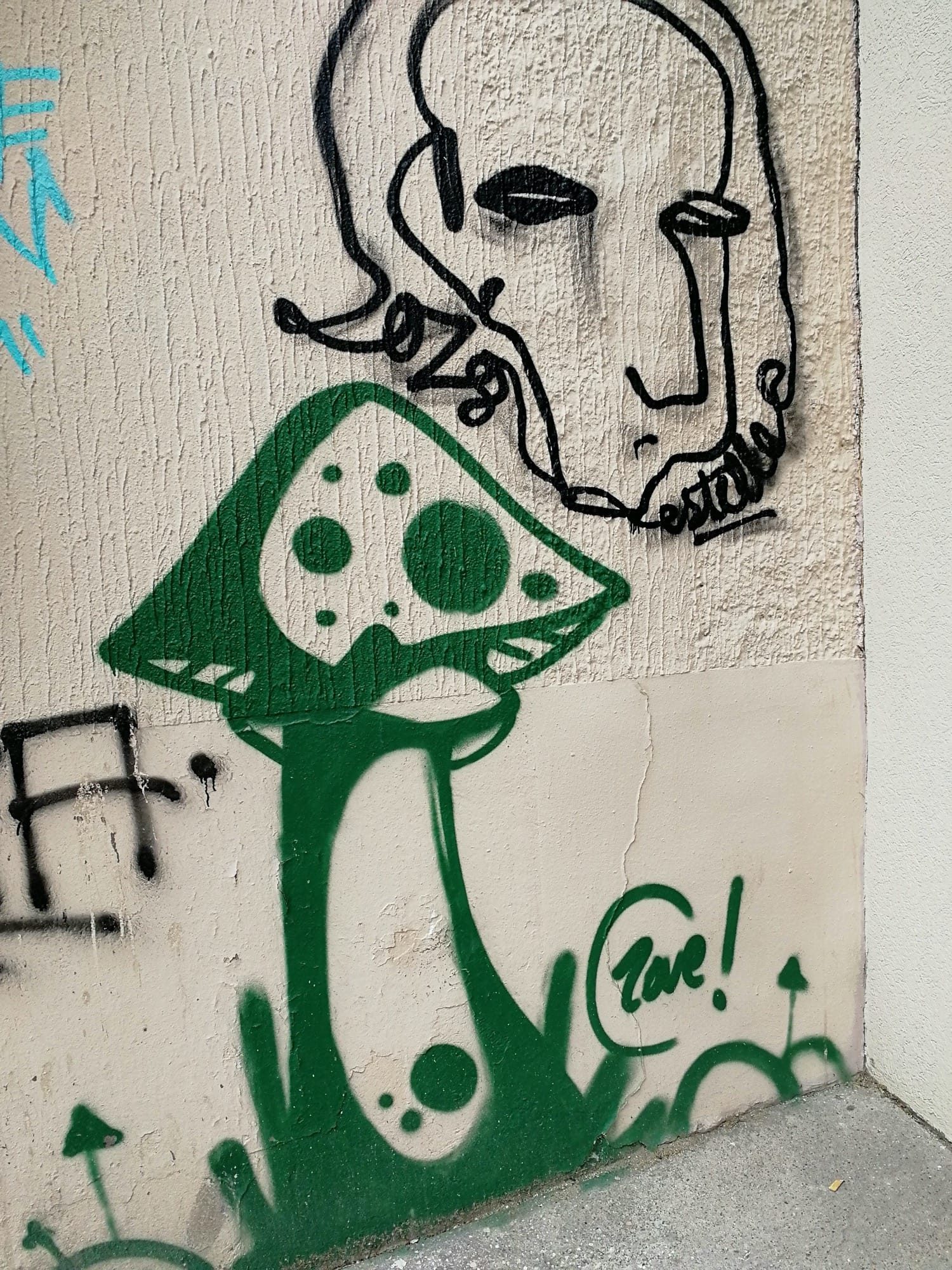 C4pie - Green Mushroom and Line-drawn Face — Street art by C4pie in Lyon