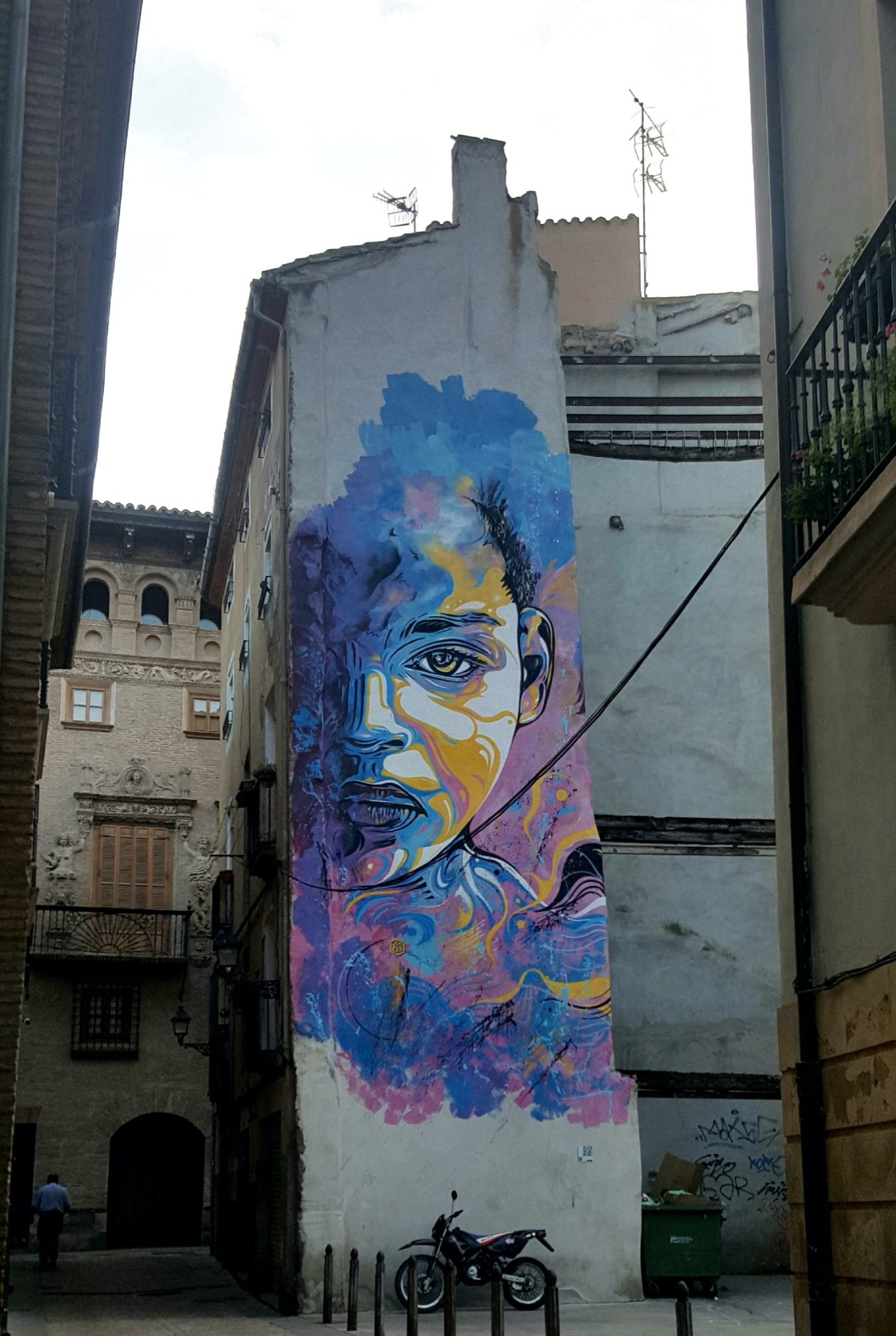 C215 - Festival Avant Garde Urbano 2012 — Street art by C215 in Tudela