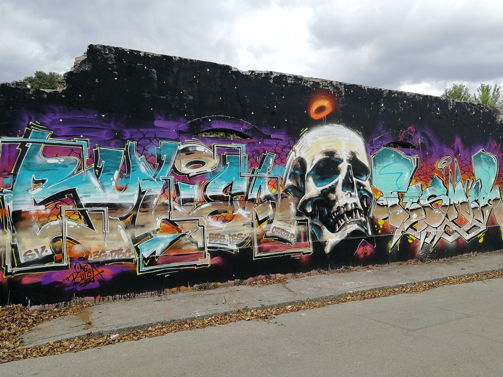 Crâne Cosmique et Lettres Sauvages — Street art à Nantes