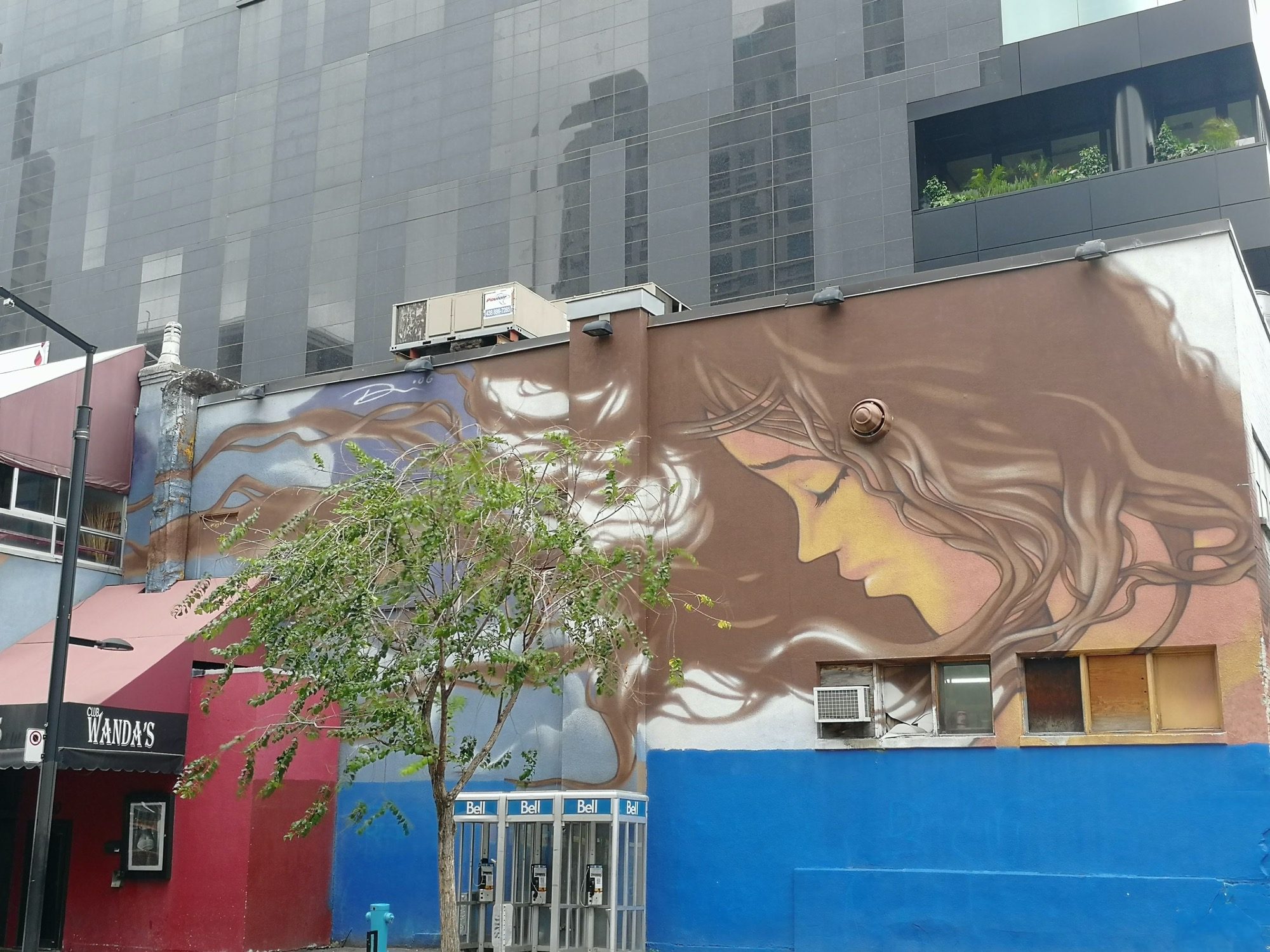 Woman's Profile - Elegant Portrait Mural — Street art in Montréal