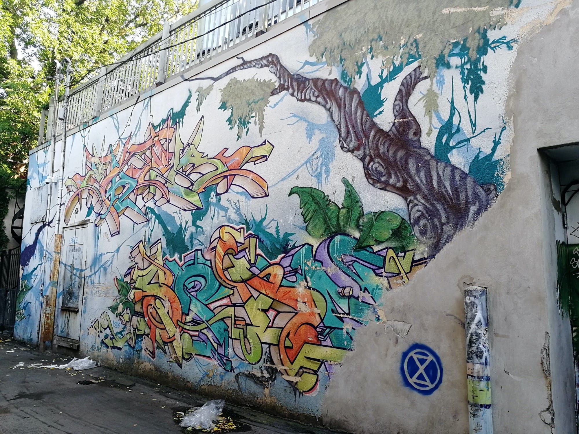 Wild Nature and Graffiti - Extinction Rebellion — Street art in Montréal