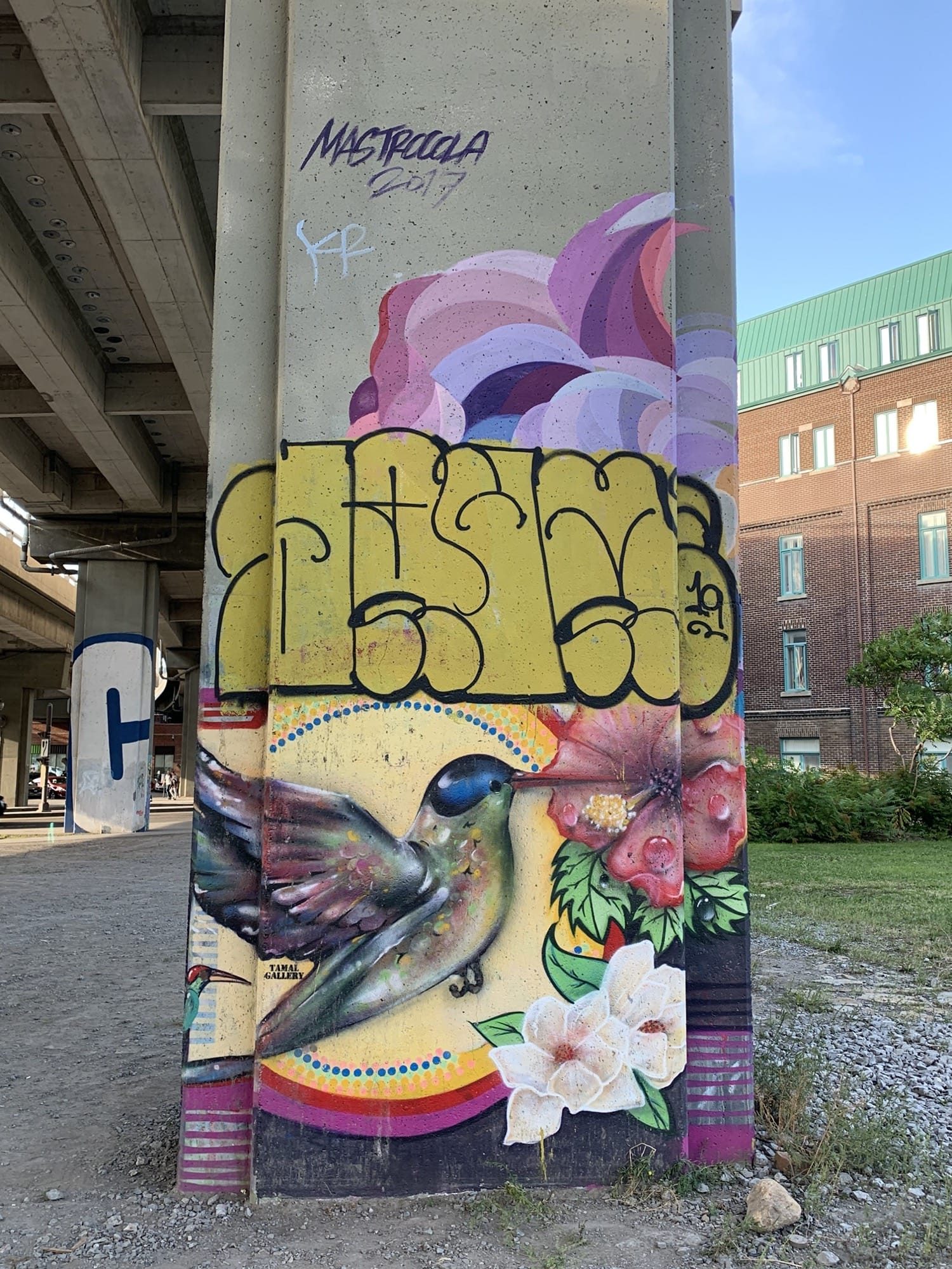 Hummingbird and Flowers, Signed Mastroola — Street art in Québec