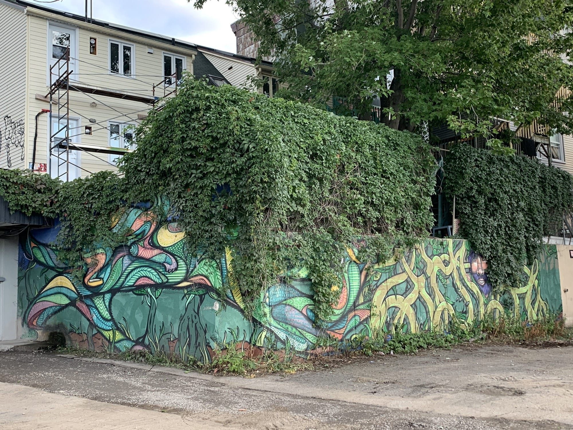 Formes organiques sur mur envahi de lierre — Street art à Québec