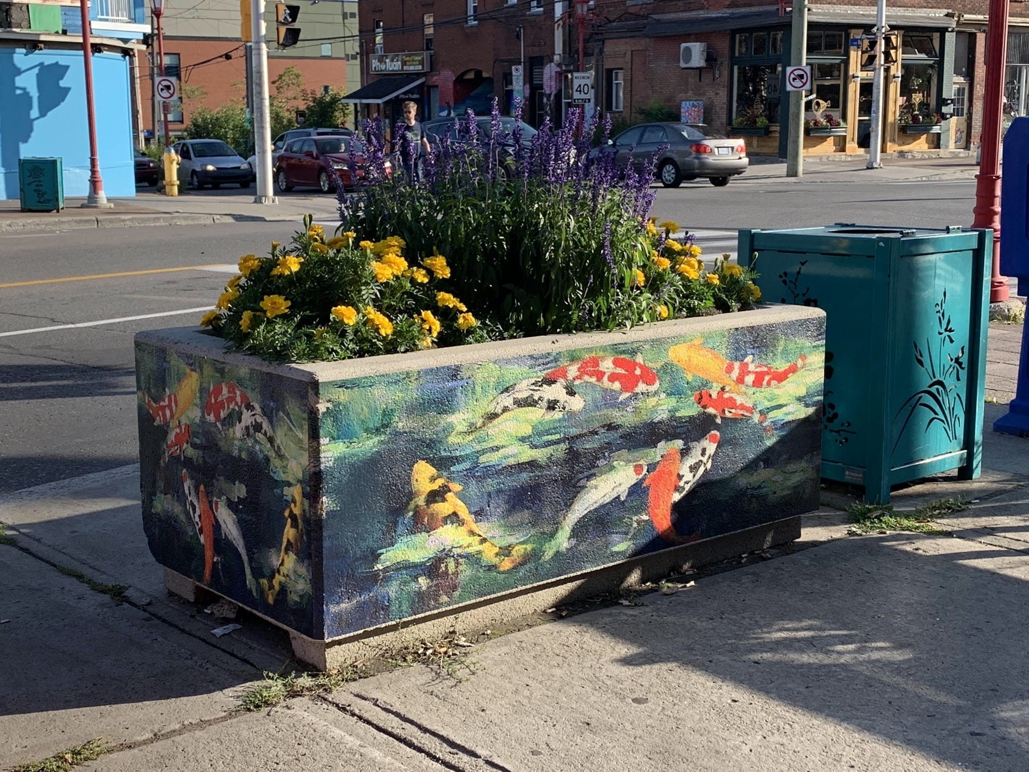 Bac à fleurs peint en bassin de carpes — Street art à Ottawa