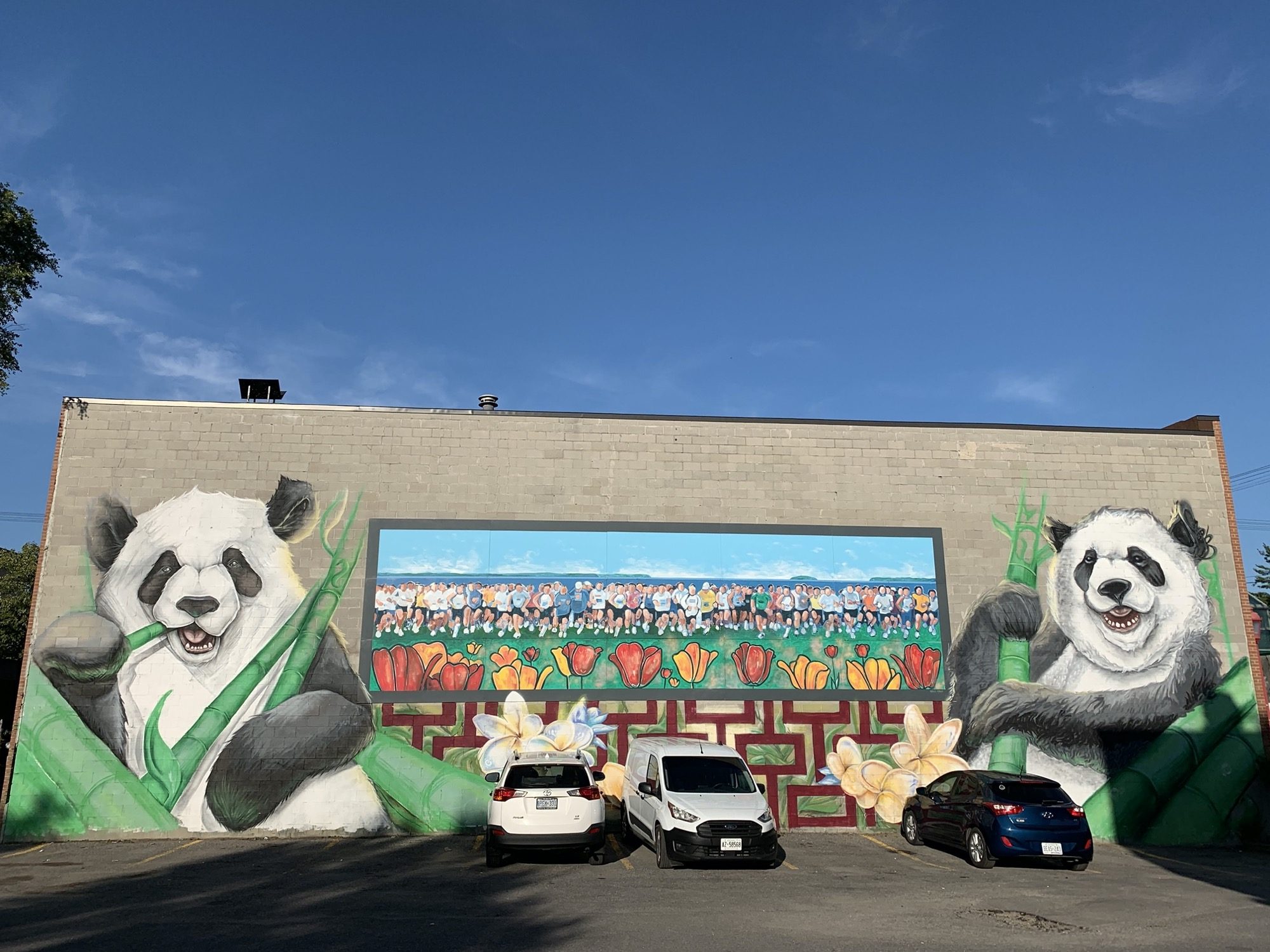 Deux pandas et champ de tulipes — Street art à Ottawa