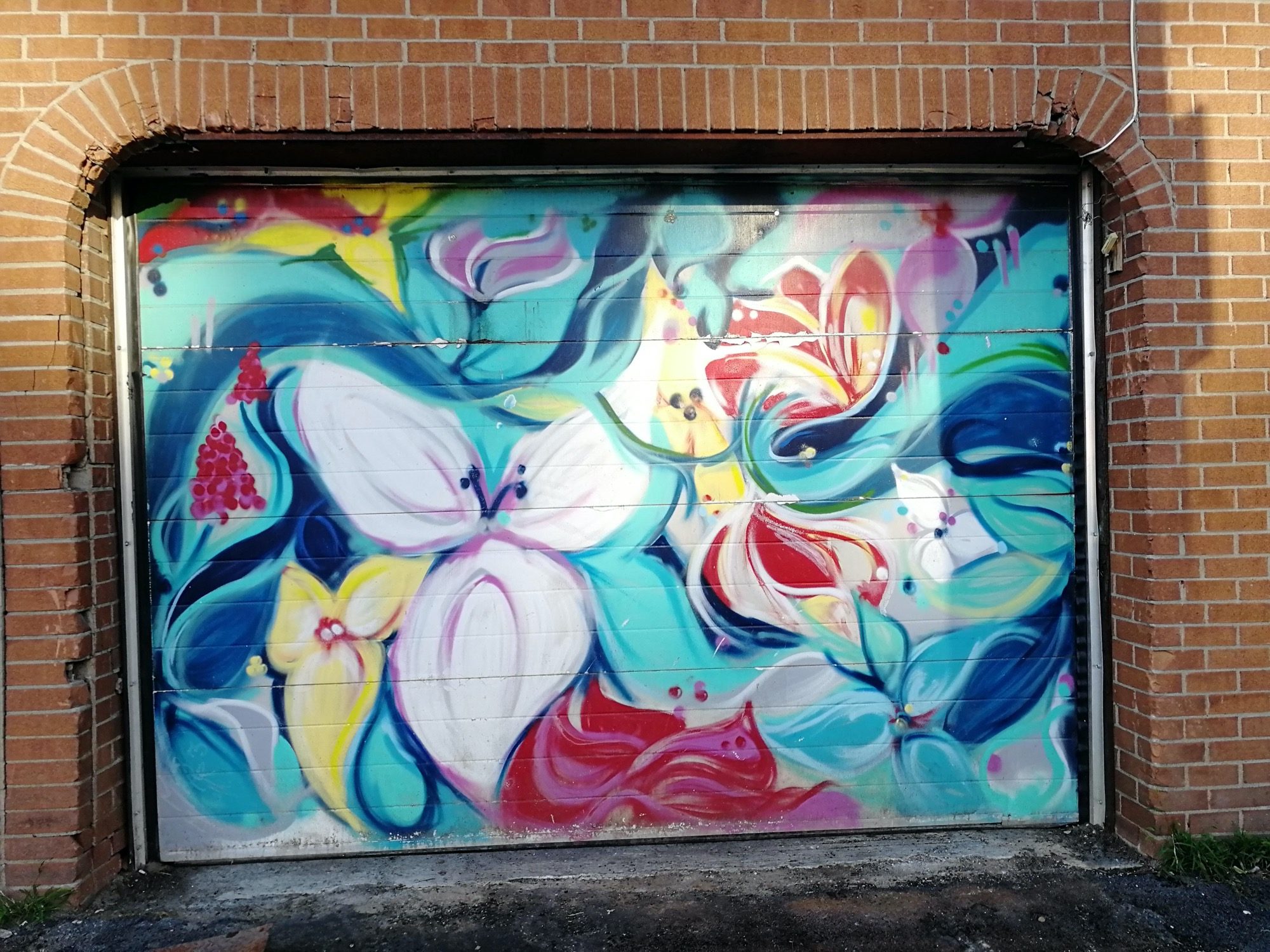 Jardin fantastique en couleurs — Street art à Ottawa