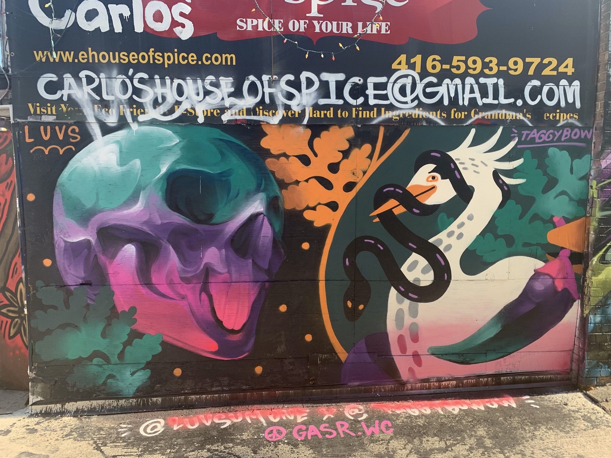 Skull and Heron on Spice House Facade — Street art in Toronto