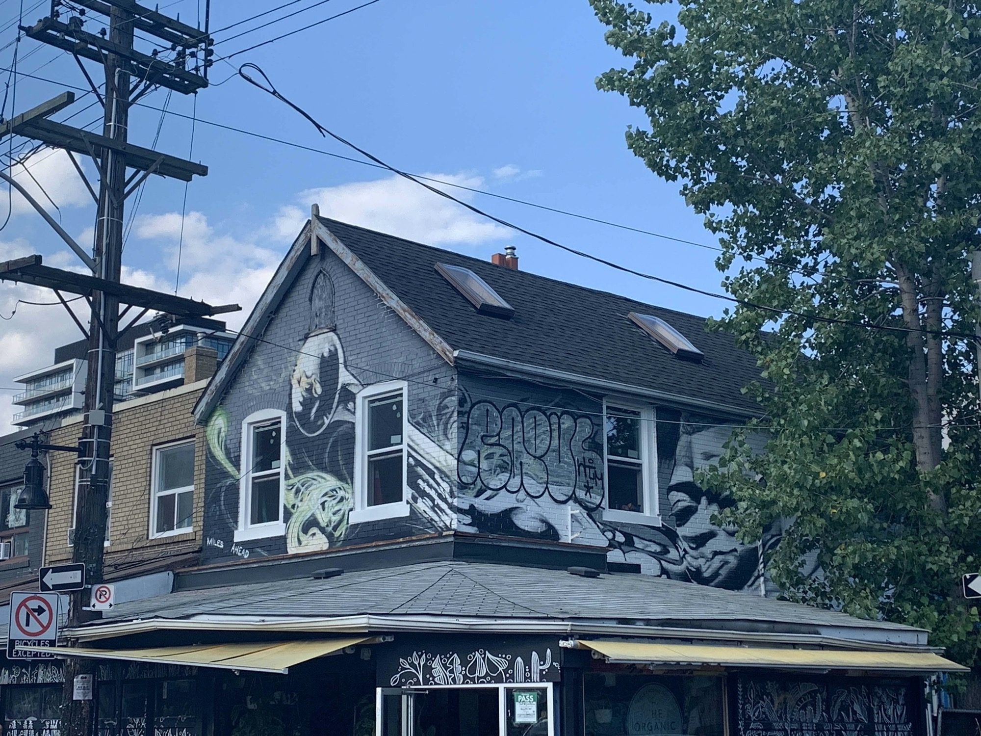 Realistic Mural and Tag on House Facade — Street art in Toronto