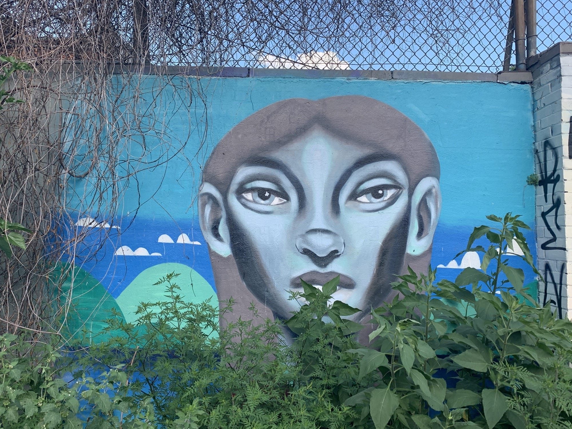 Visage Serein Ciel et Eau Bleu — Street art à Toronto