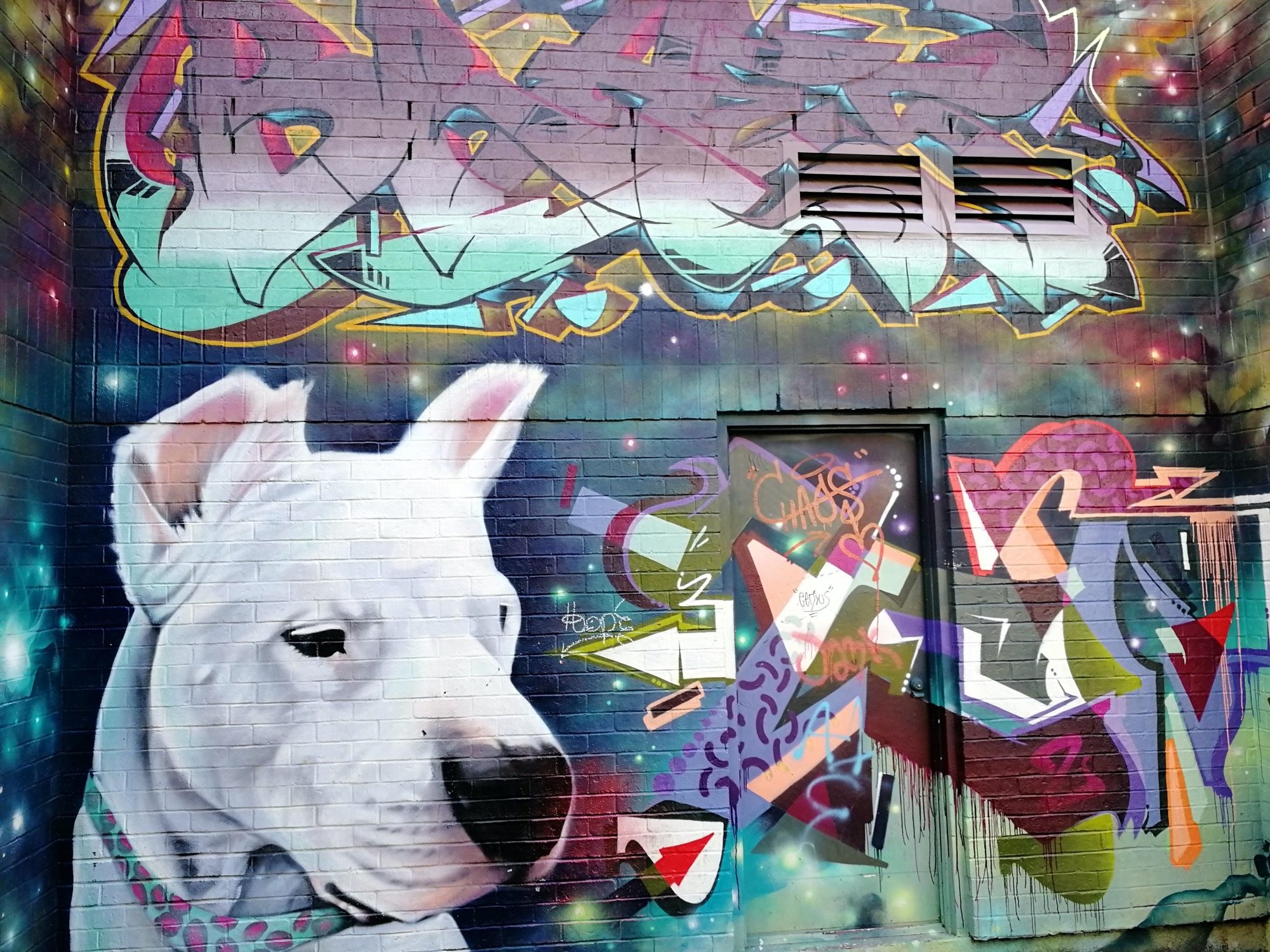 White Bull Terrier on Galactic Background — Street art in Toronto