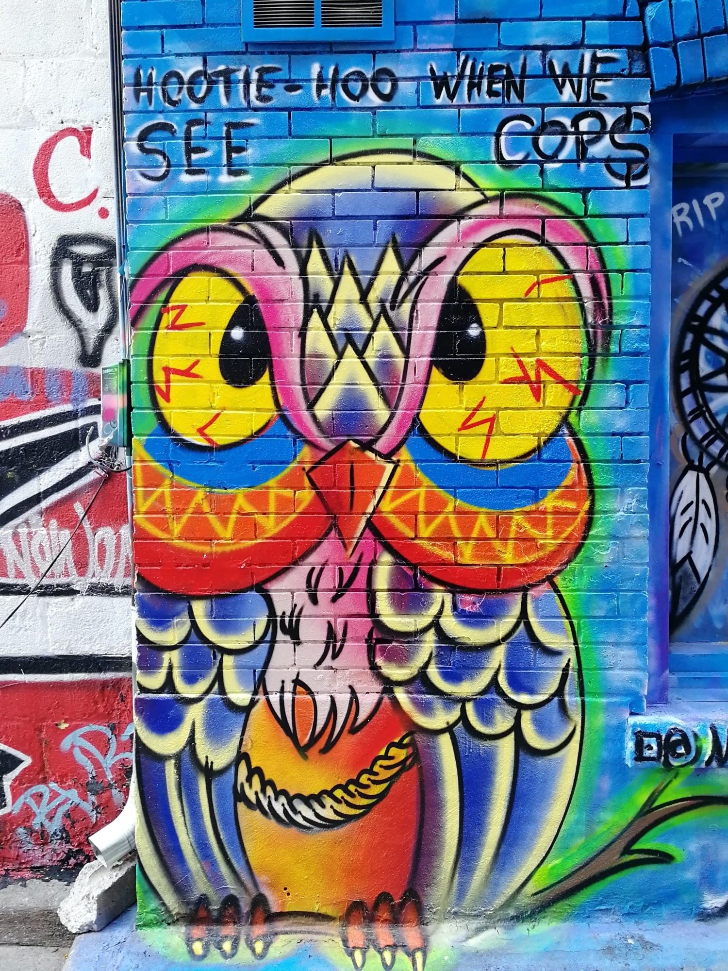 Colorful Hootie-Hoo Owl on Blue Background — Street art in Toronto