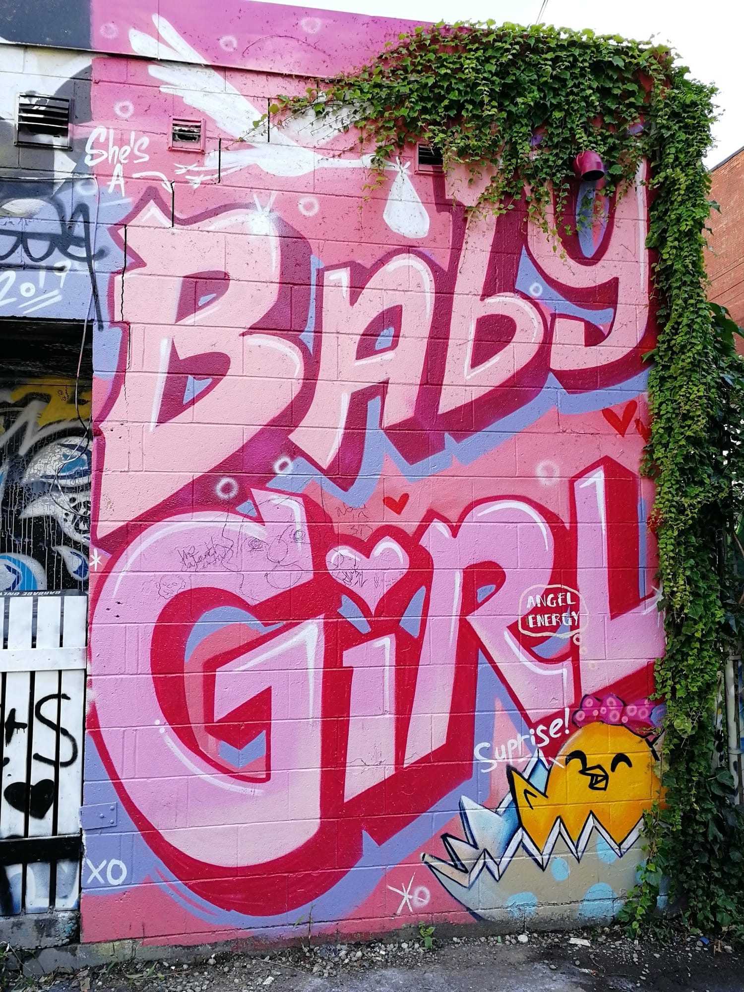 Baby Girl graffiti in pink tones — Street art in Toronto