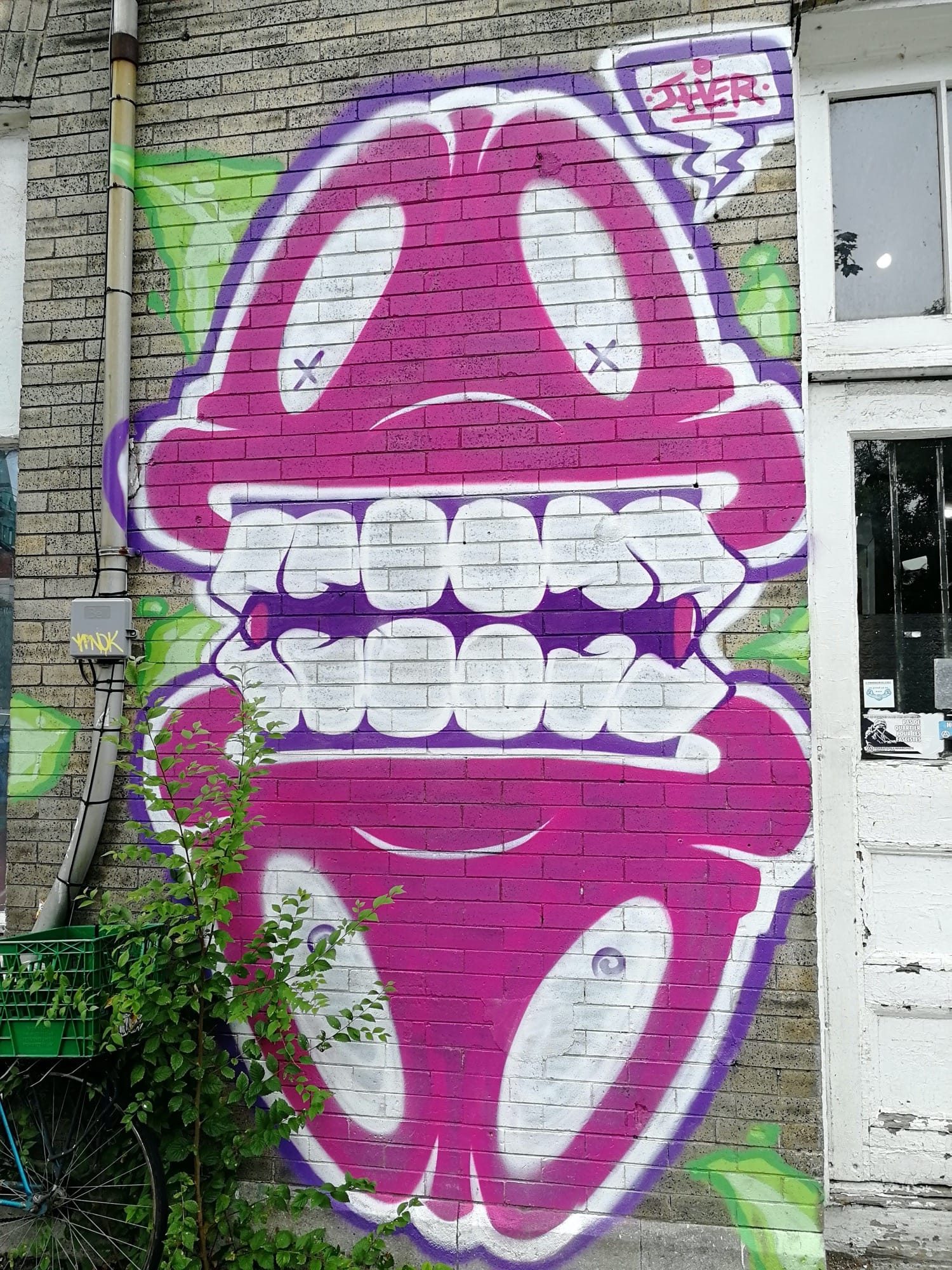 Le monstre magenta aux deux rangées de dents — Street art à Montréal