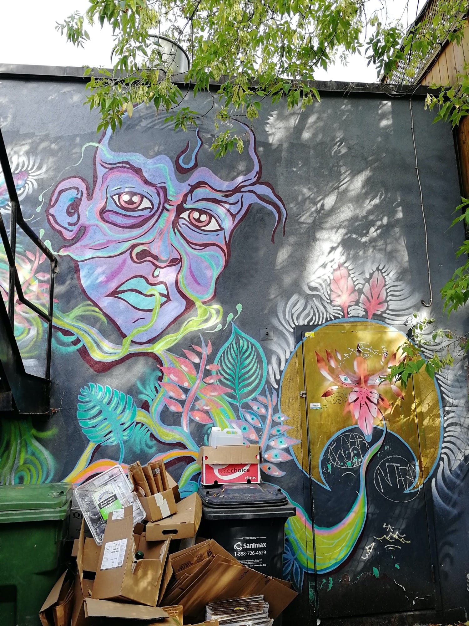 The Pastel Line Face and the Jungle — Street art in Montréal