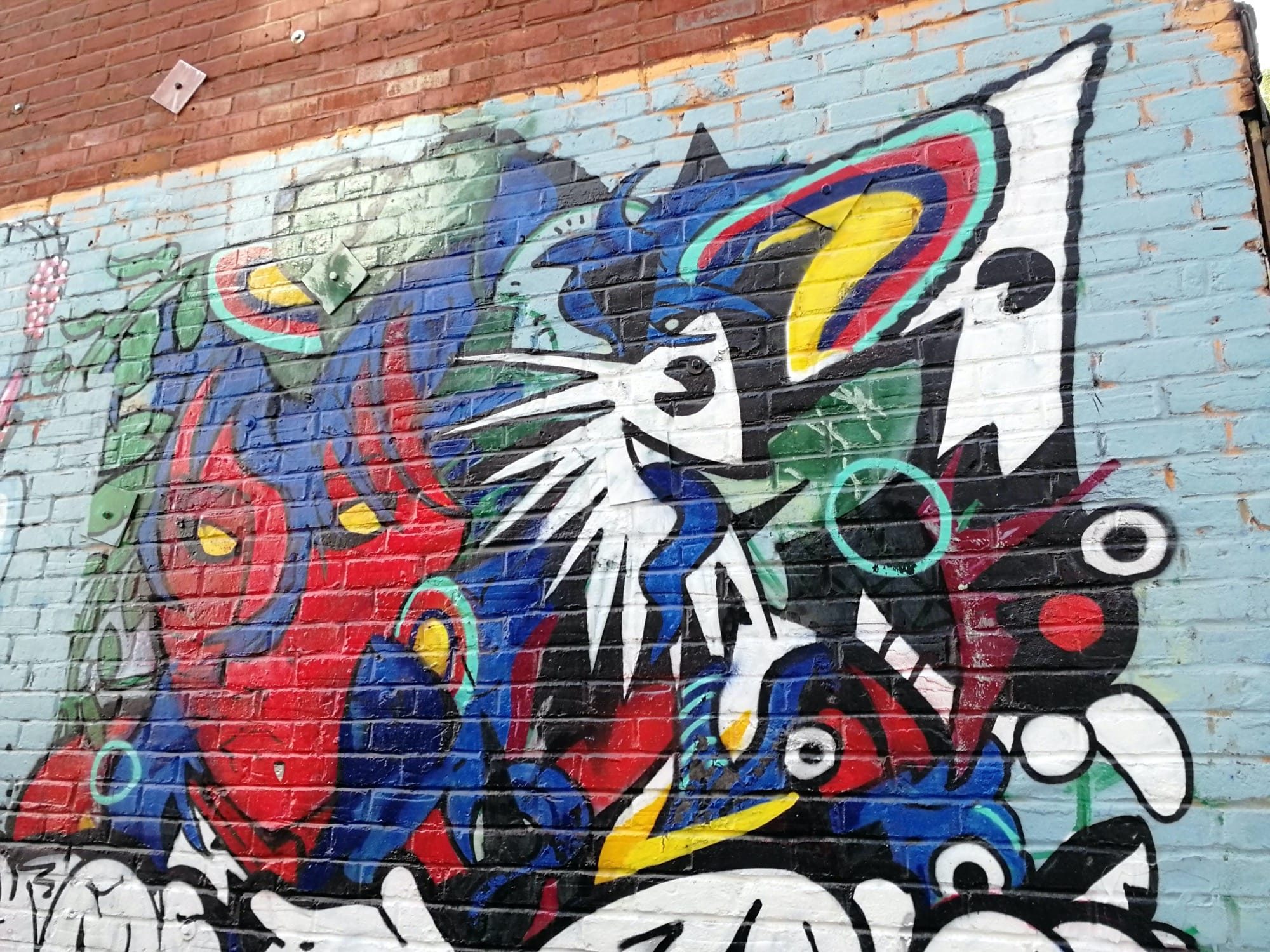 The White Cat with Radiating Whiskers — Street art in Montréal