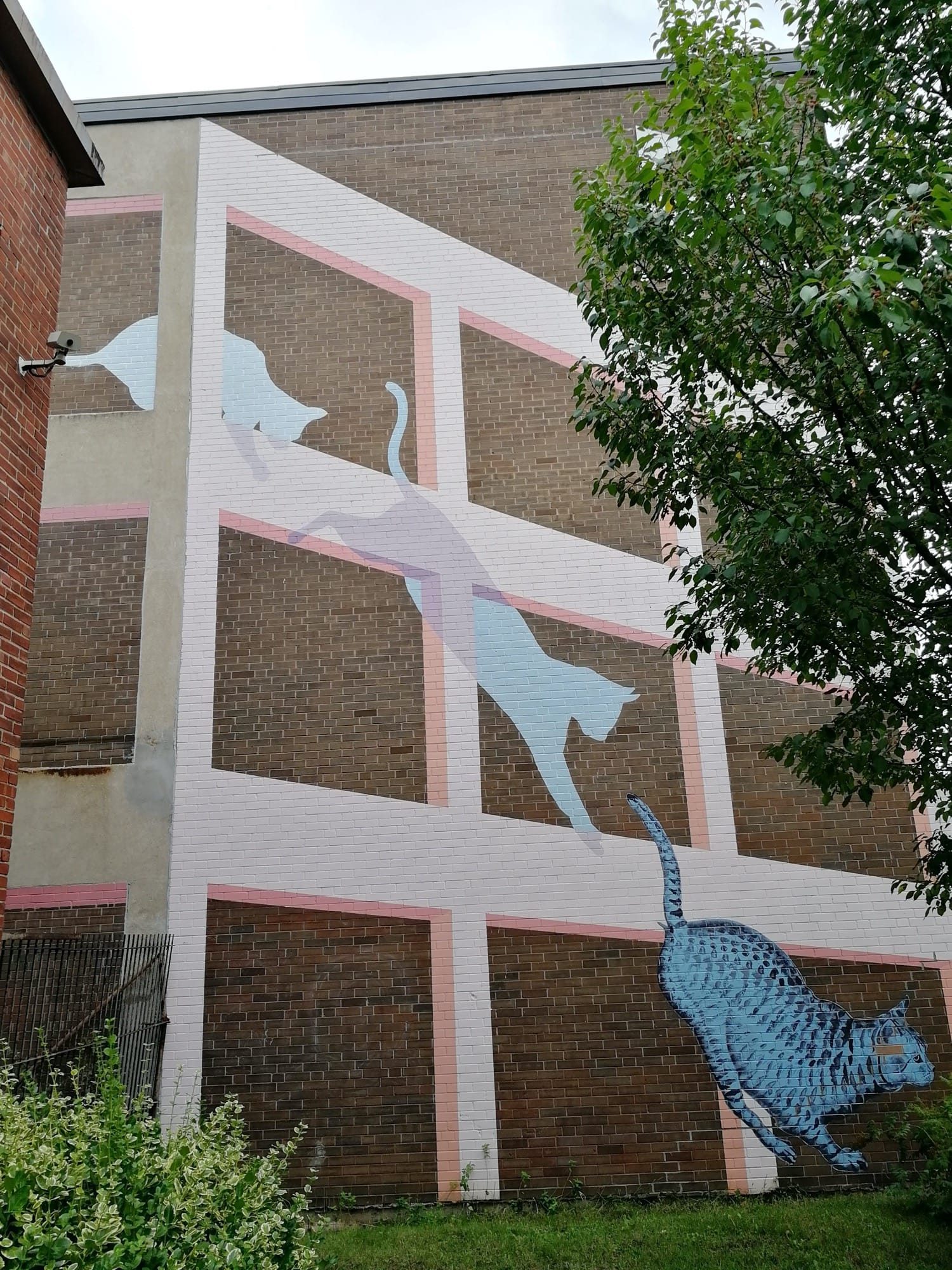 Blue Fish Grid Mural — Street art à Montréal