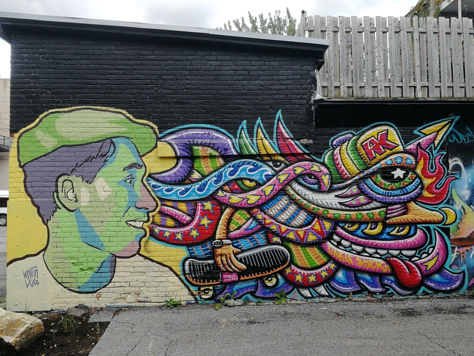 La tête d'où jaillit le torrent de motifs — Street art à Montréal