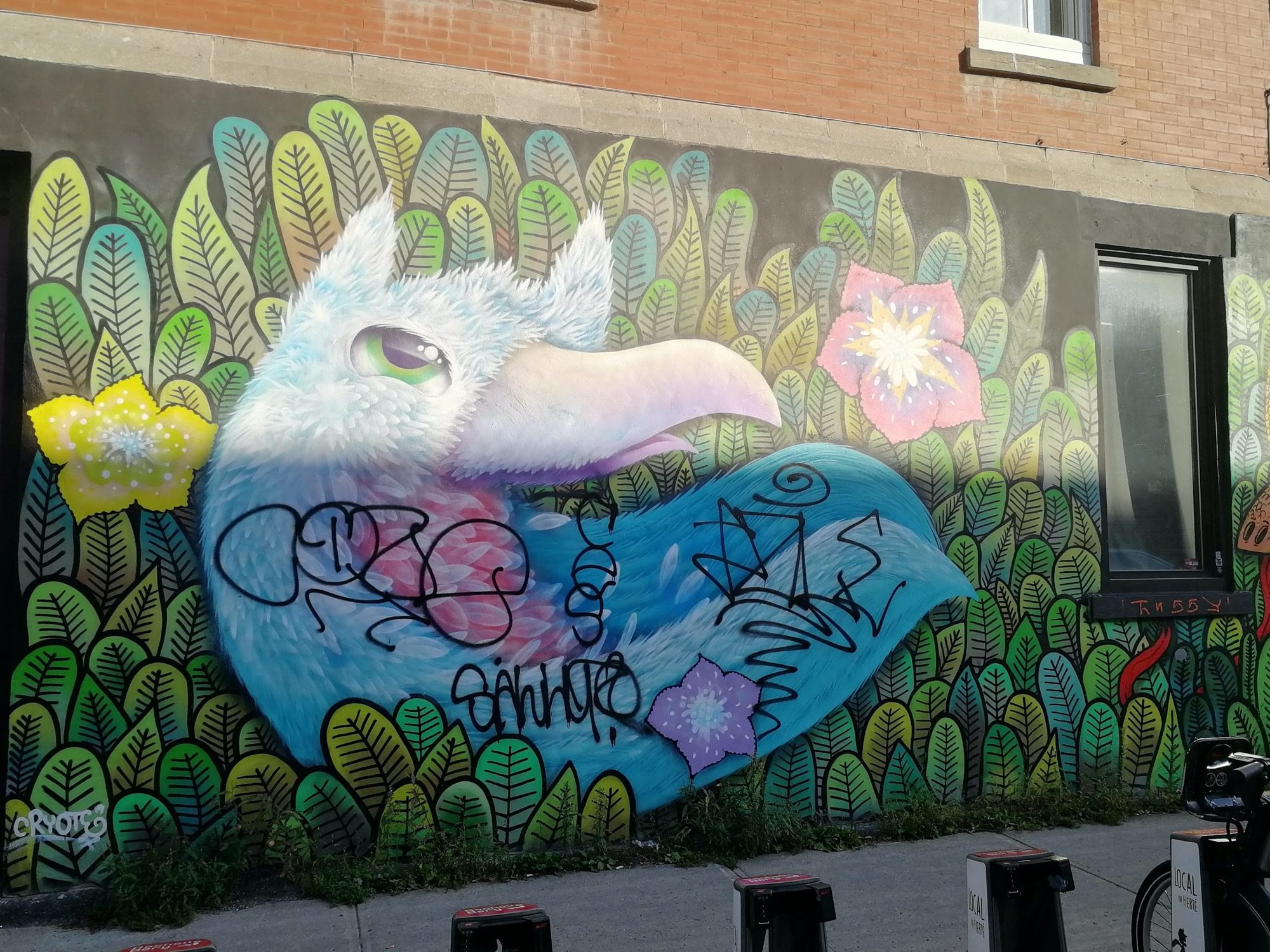 L'oiseau blanc au long bec — Street art à Montréal