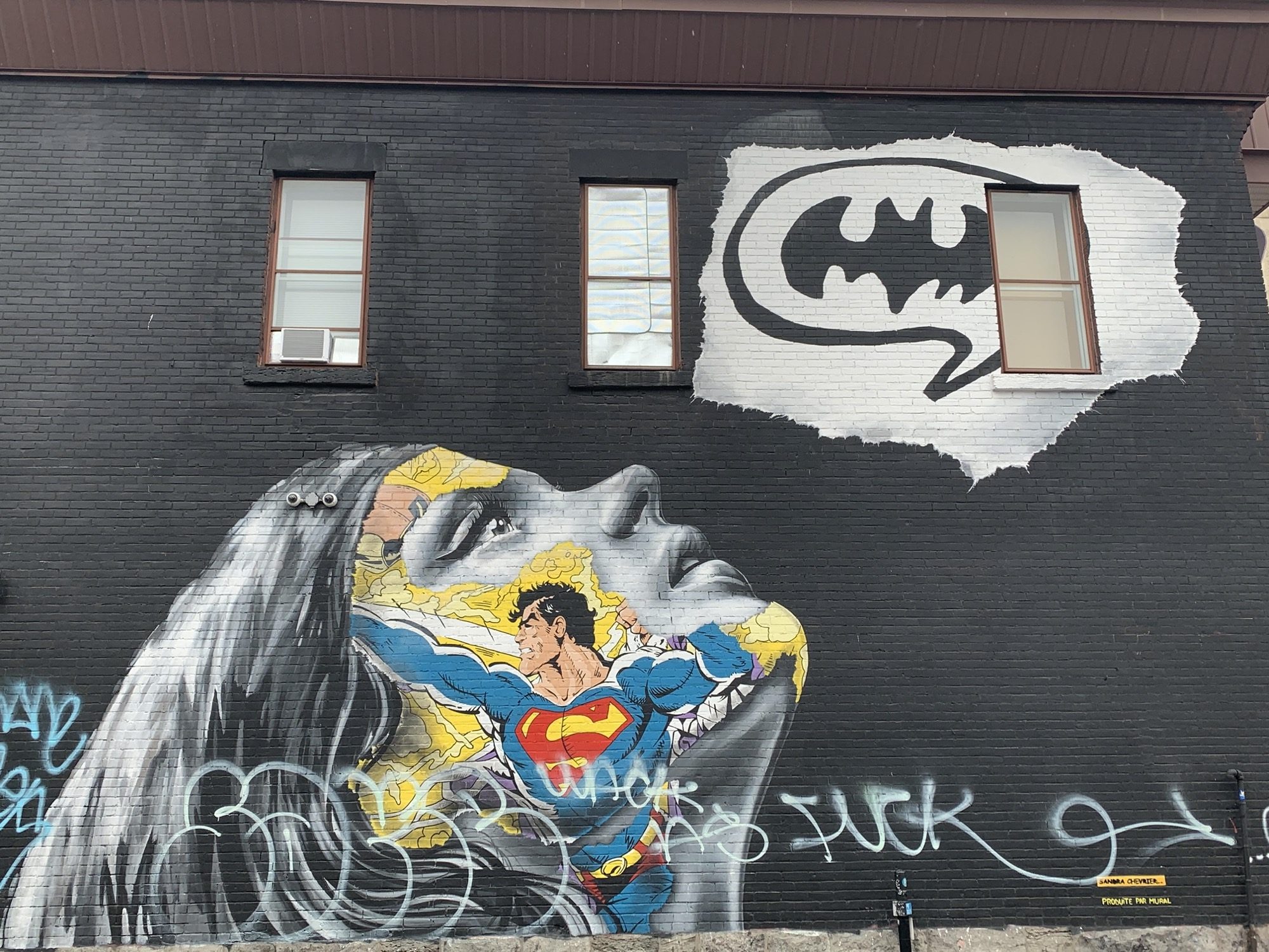The Face of Comic Panels, by Sandra Chevrier — Street art by Sandra Chevrier in Montréal