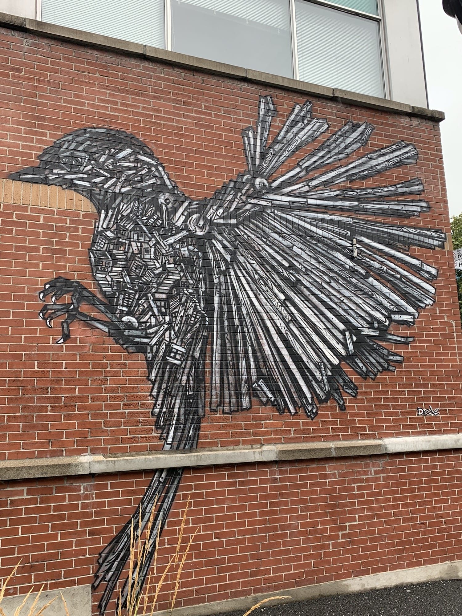 Detailed Linear Bird — Street art de Dede à Montréal