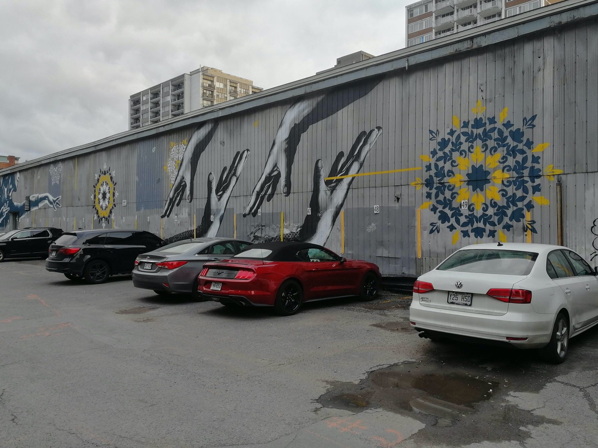 Les mains tendues et les rosaces bleues — Street art de Mathieu Bories à Montréal