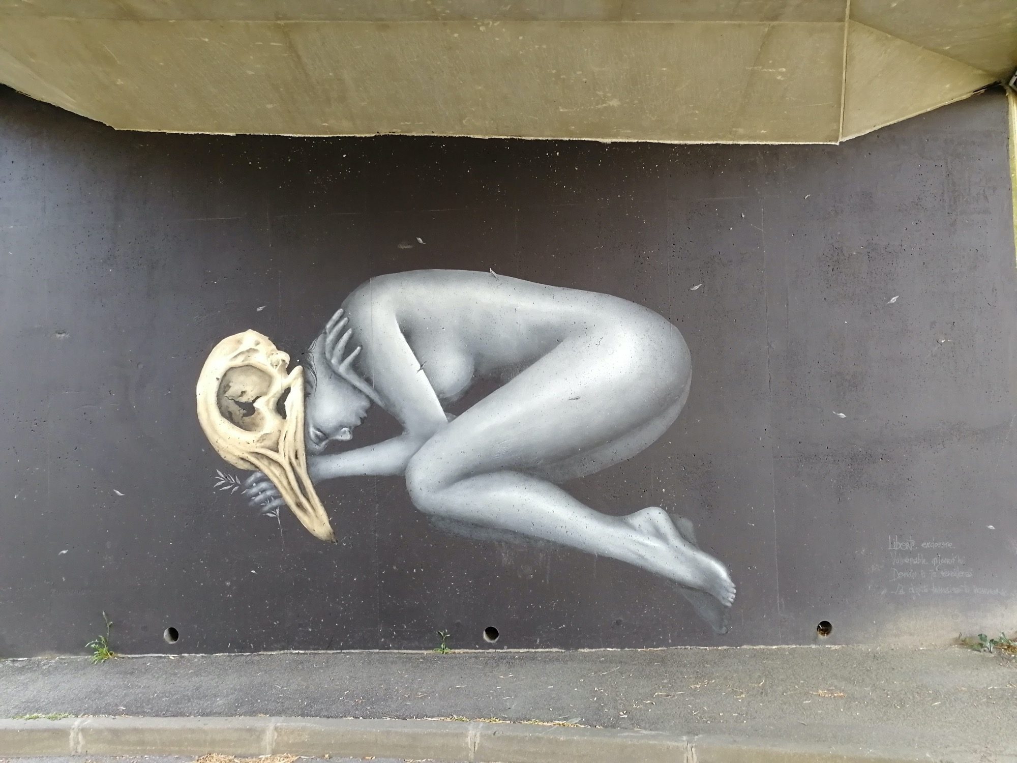 Le corps et le crâne d'oiseau — Street art à Vannes