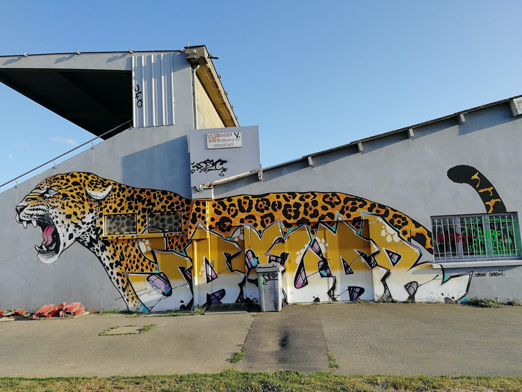 Léopard rugissant sur le hangar — Street art à Rennes