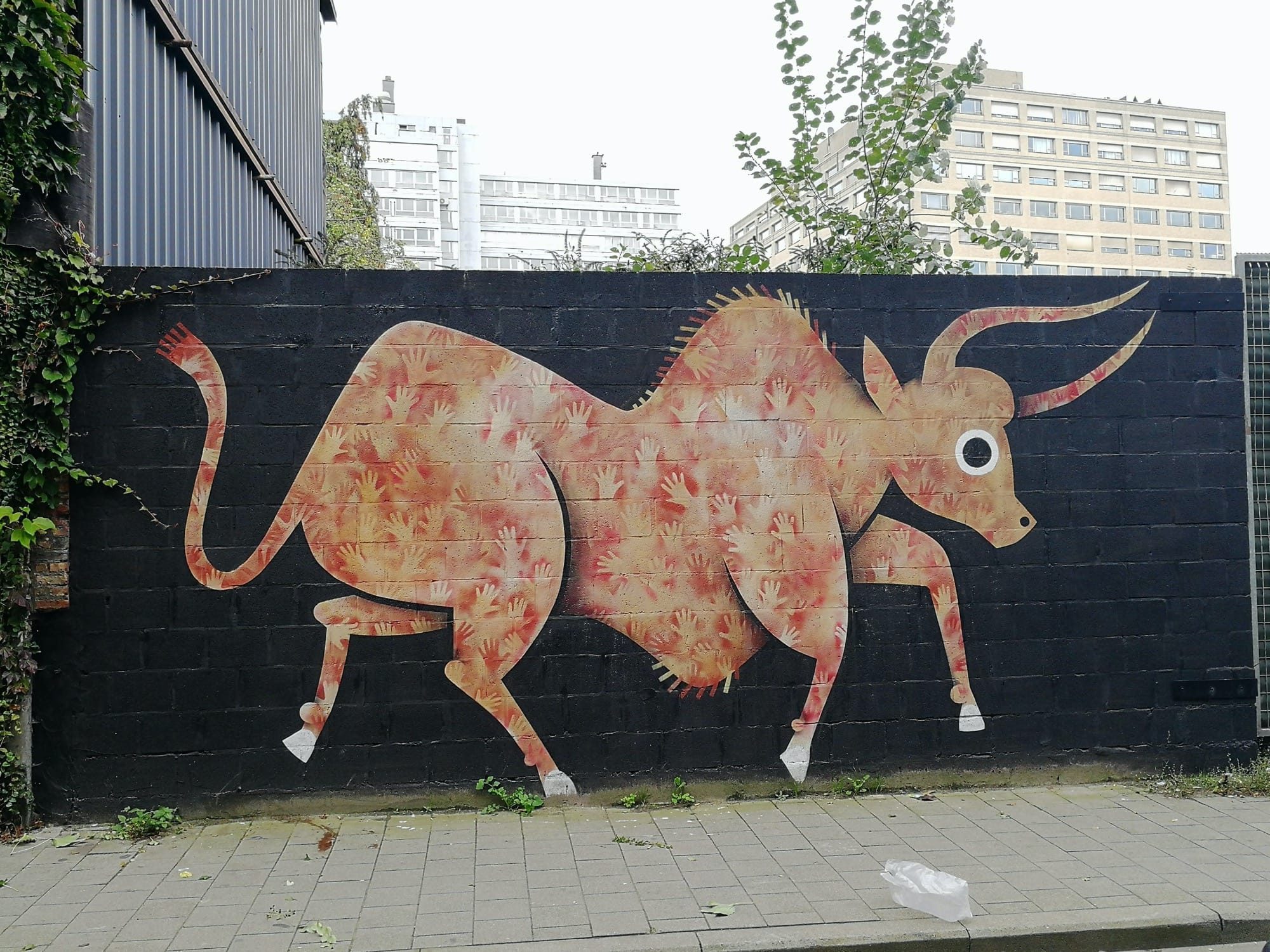 Cave Art Bull by Joachim — Street art by Joachim in Antwerpen
