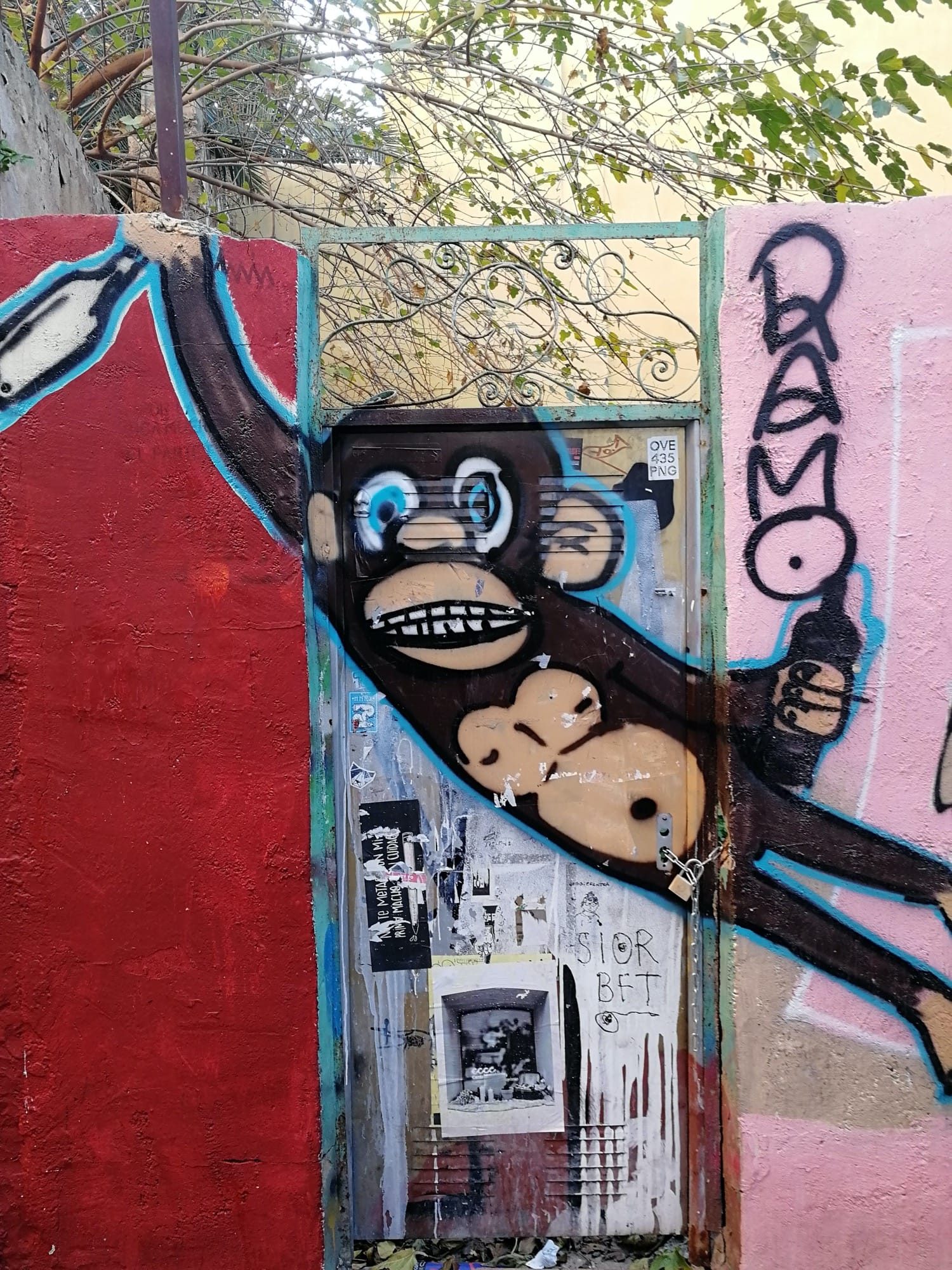 The Black Monkey on the Gate — Street art in València