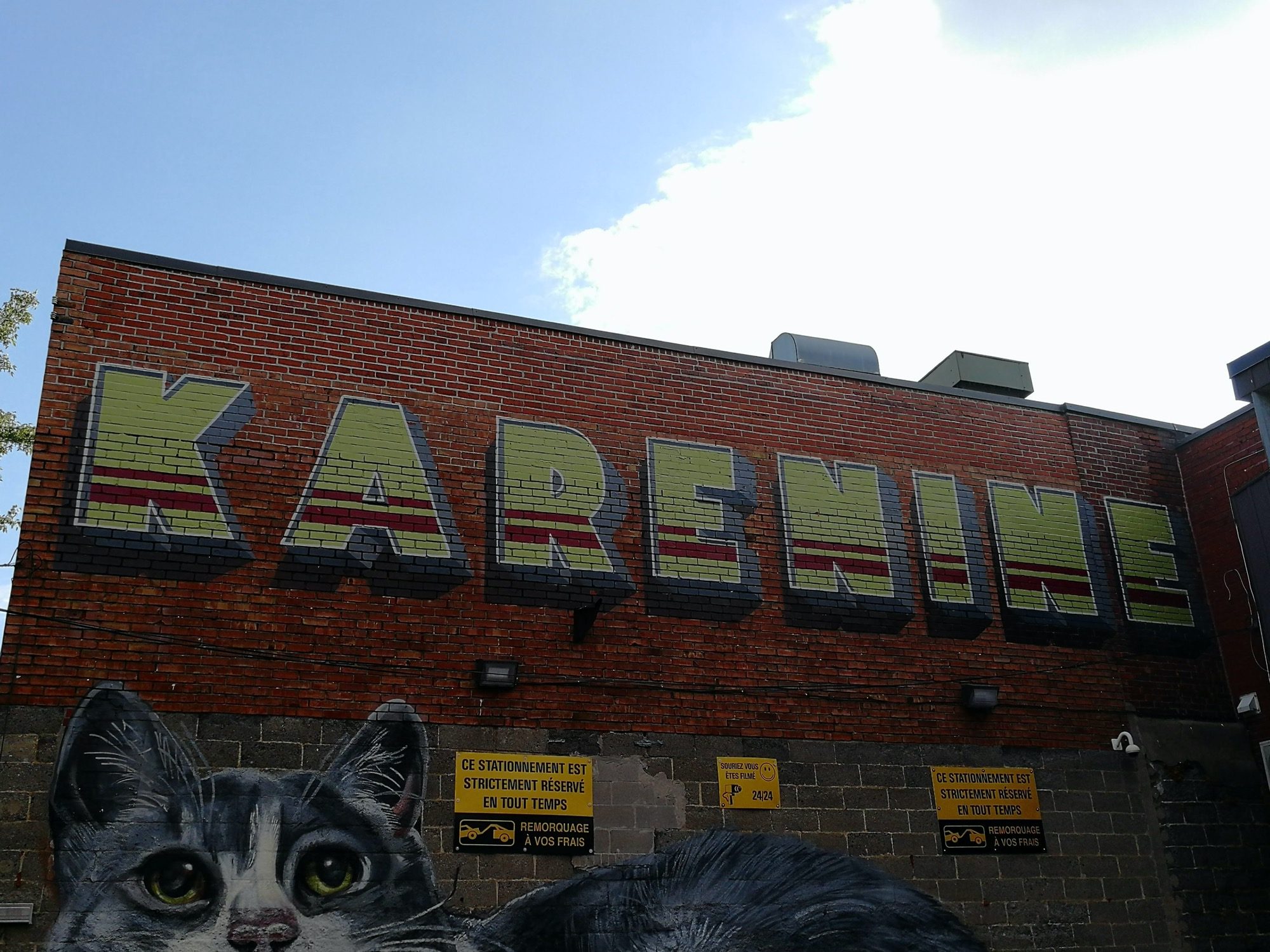 Cat with Karefune Lettering — Street art in Montréal