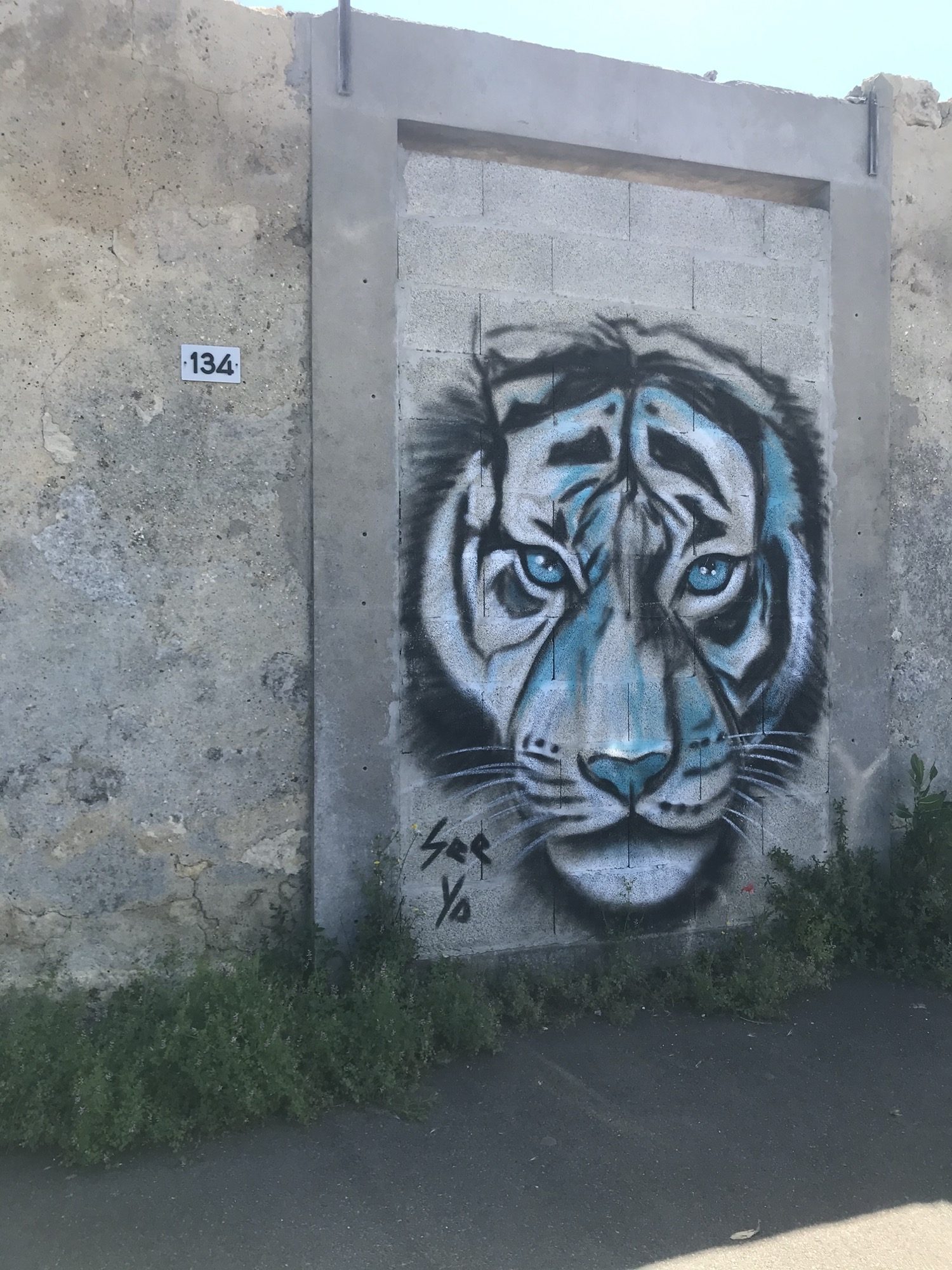 Le tigre de see ya — Street art à Bruges